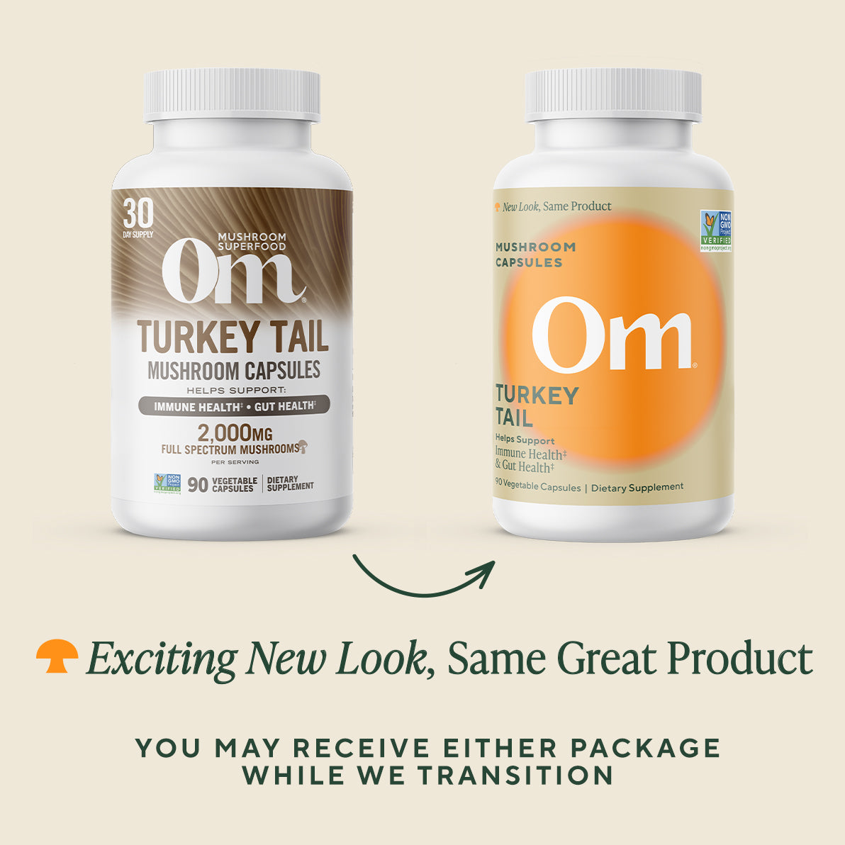 Turkey Tail Mushroom Capsules、mySite、gigharbornorthrealestate