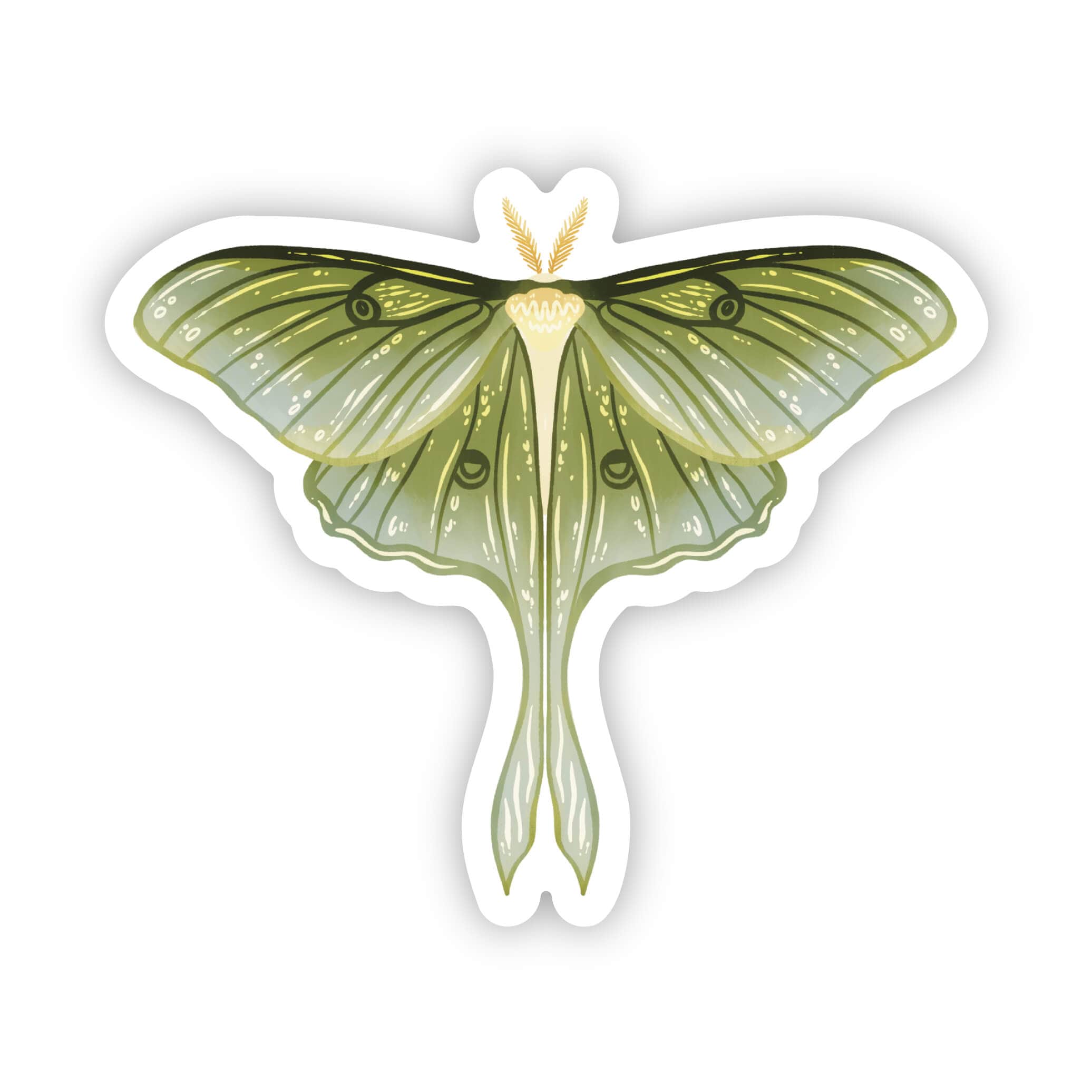  Moth Sticker (Green)、mySite、elrpsem3k