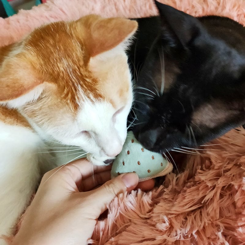 Catnip Plush Toys for Cats So much fun in such a little package! *、mySite、g9winljtr