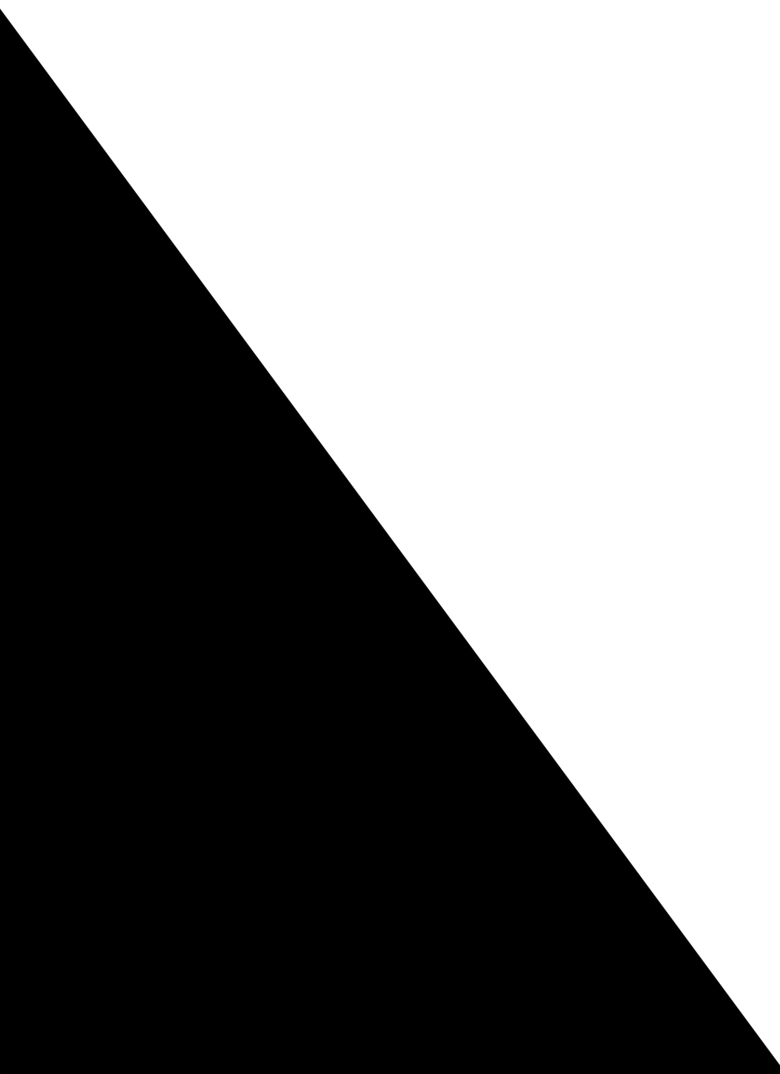 Girls 10 Pack Assorted Basic Ankle Socks、mySite、camillekostekn