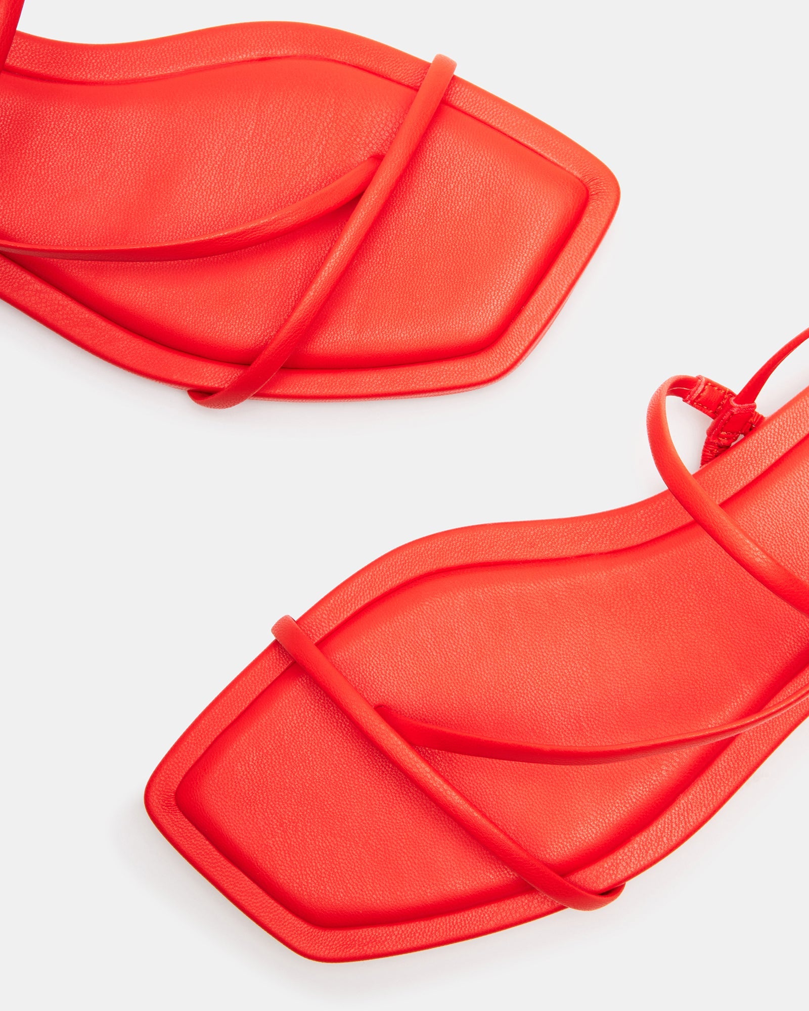 LYNLEY RED - SM REBOOTED、mySite、gtrtttuynbv