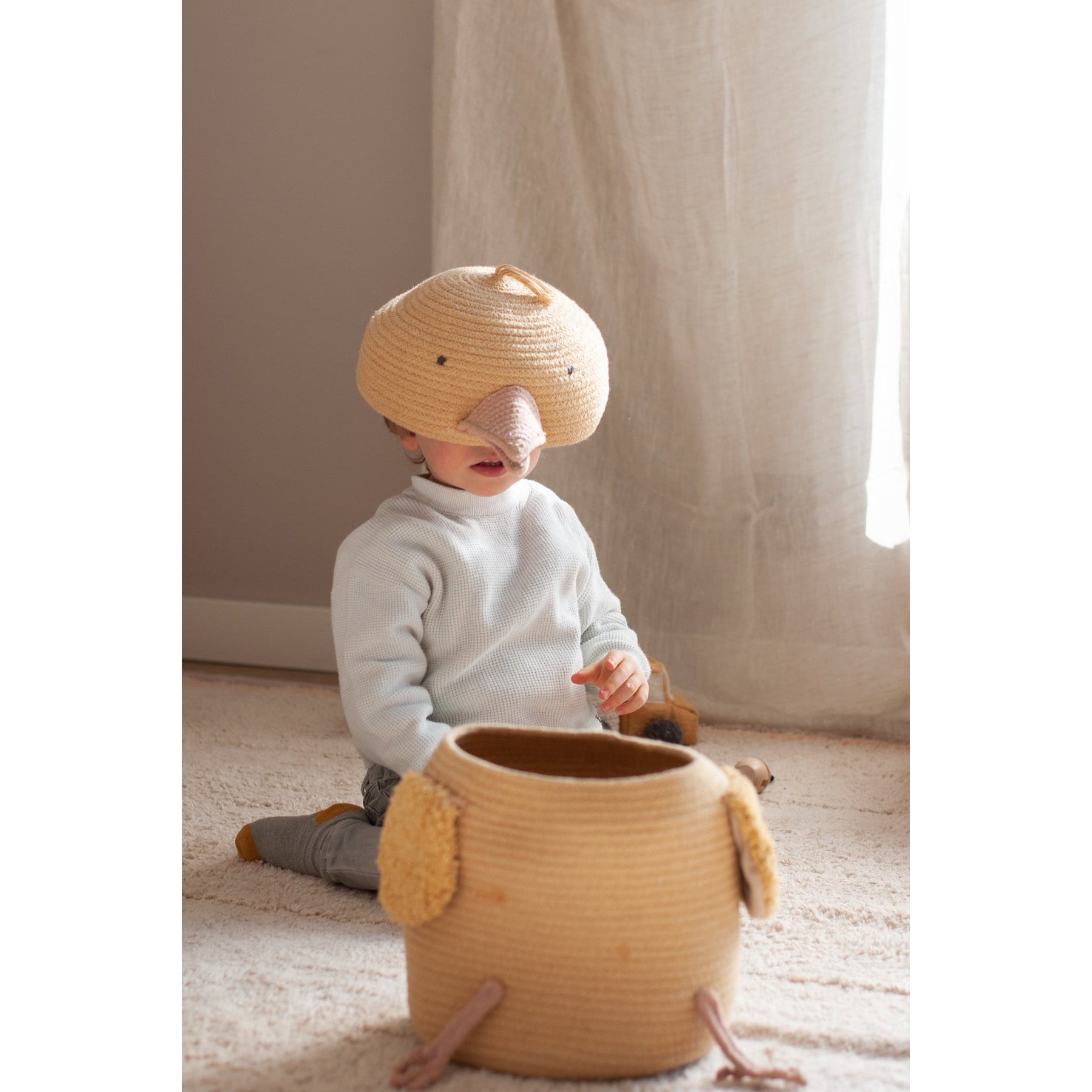 Charlie the Chicken Basket、mySite、gigharbornorthrealestate