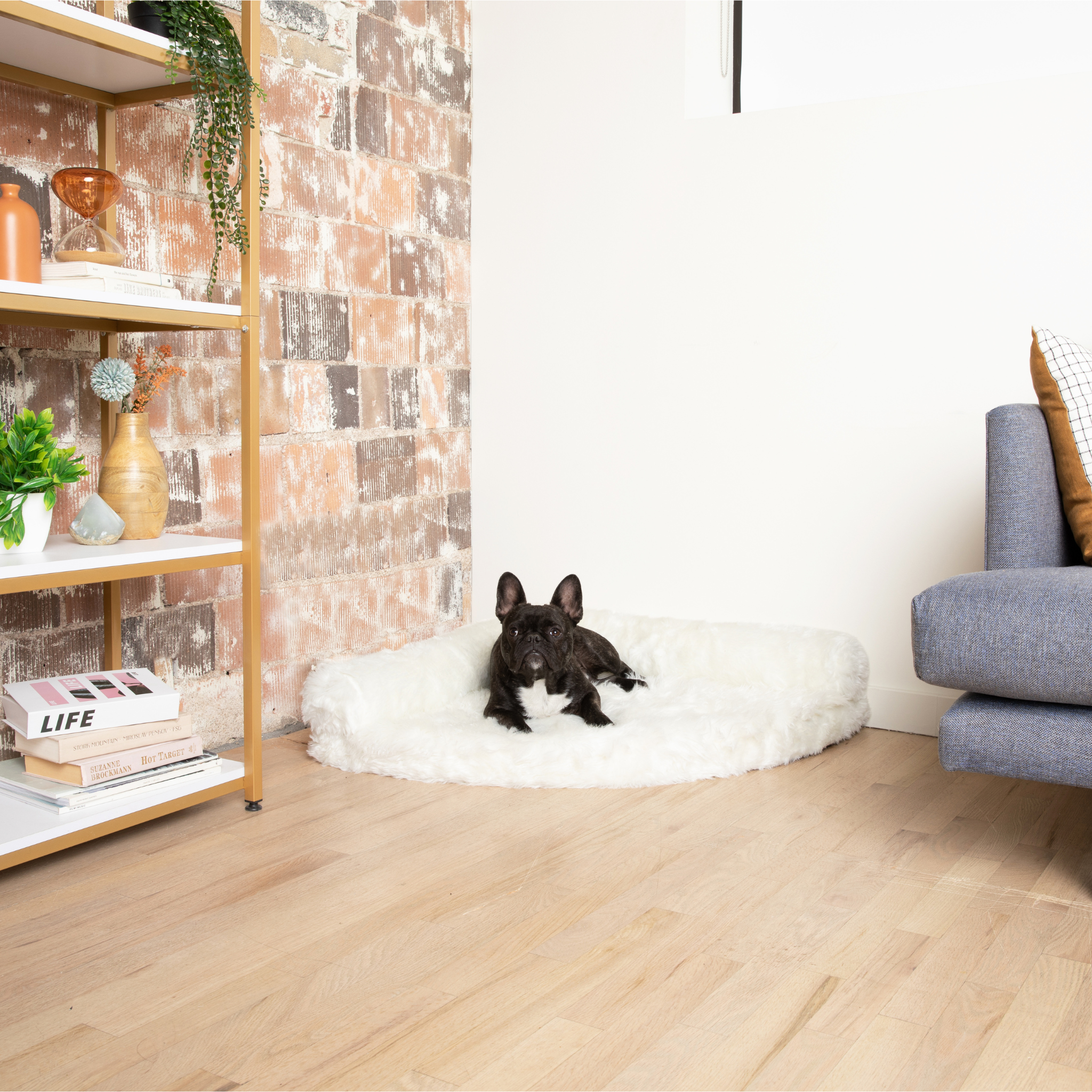 PupRug™ Memory Foam Corner Dog Bed - Polar White、mySite、solidvoid