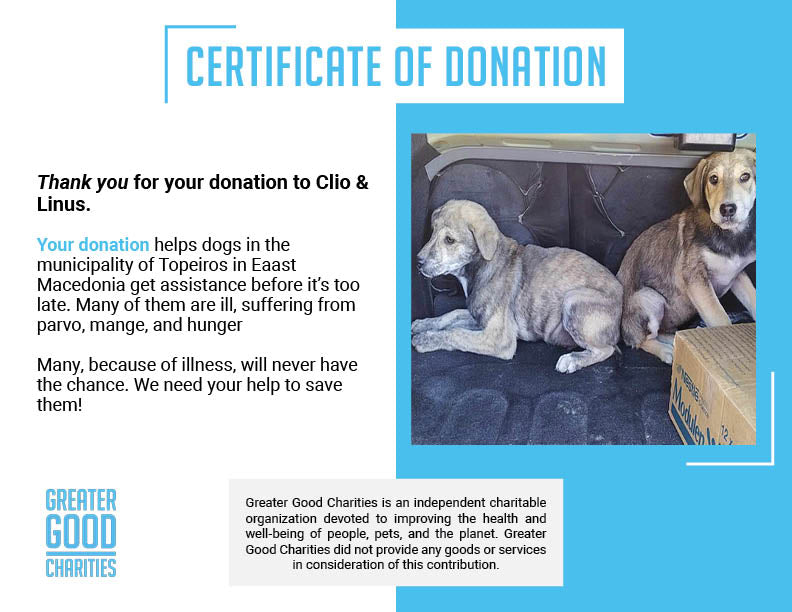 Funded: Help Clio & Linus Beat Sickness and Malnutrition、mySite、camillekostekn