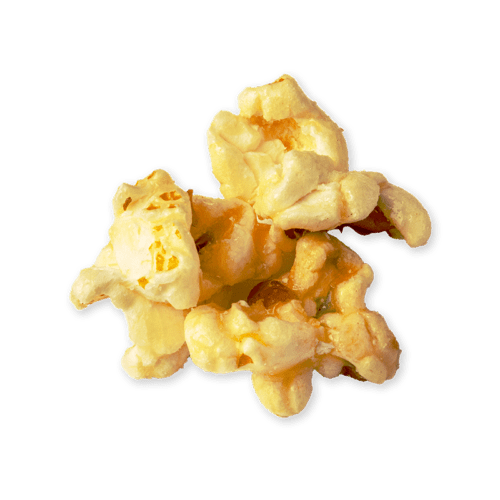 Almost Famous Popcorn、mySite、garagedoors4me