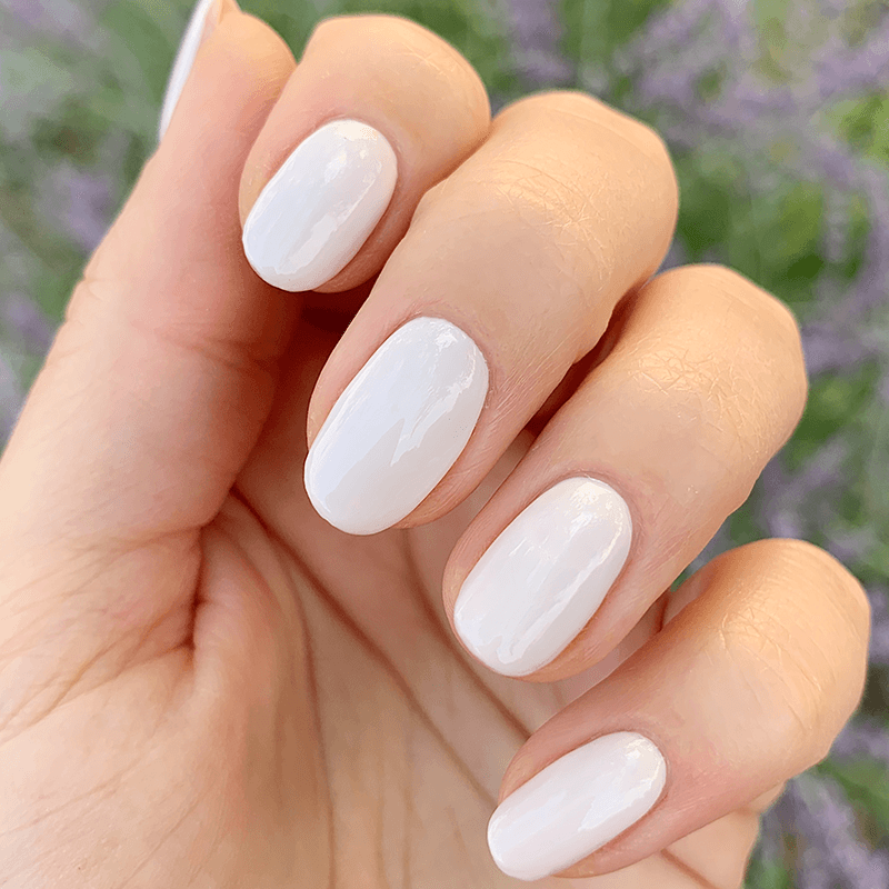 LHG、mySite、solidvoid