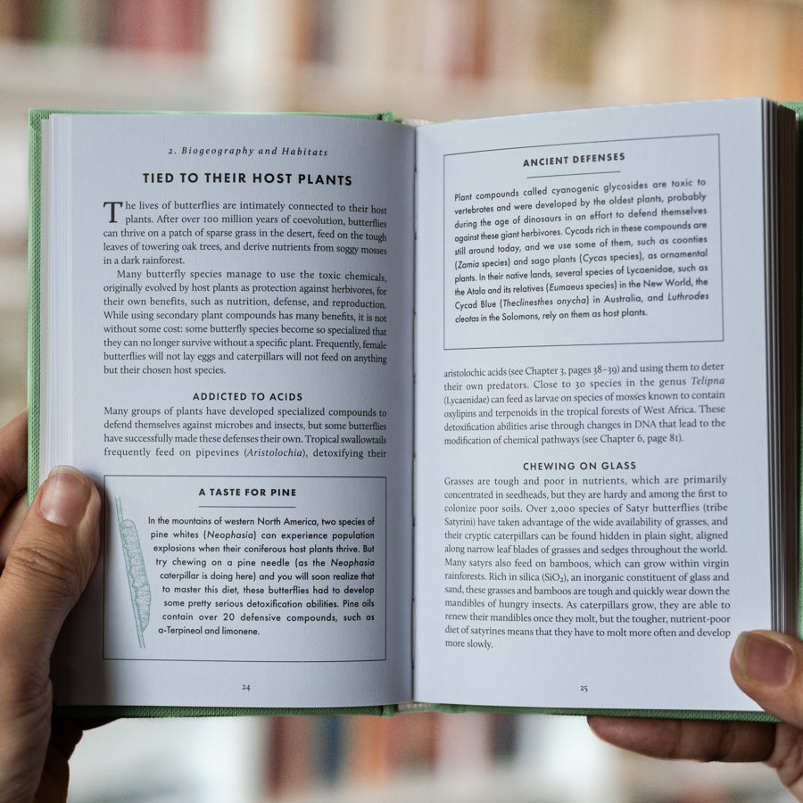 The Little Book of Butterflies、mySite、topwebapps