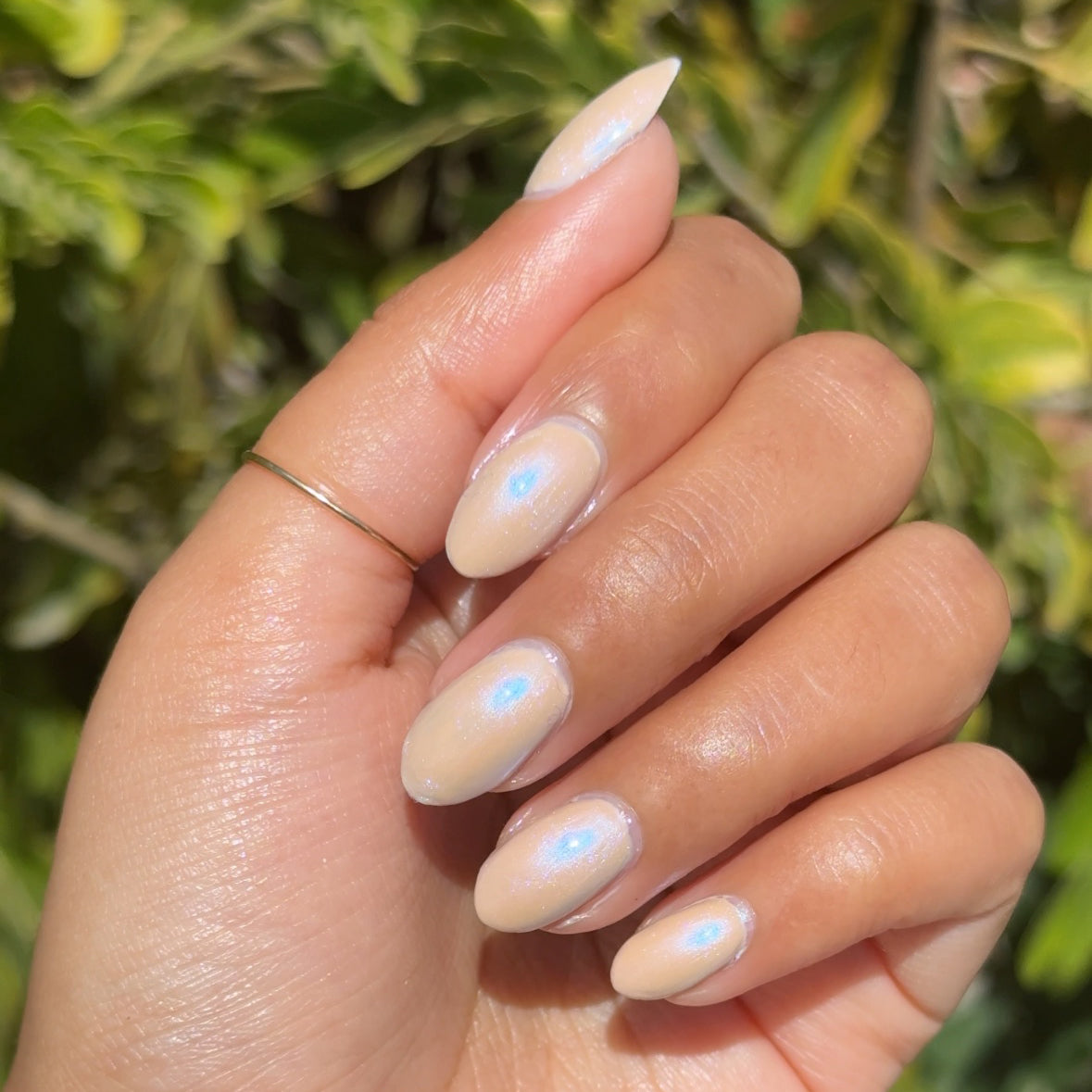 Country Chrome、mySite、solidvoid