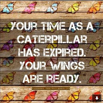 Butterfly Jewelry in Platinum Plated Sterling Silver, Yellow、mySite、g9winljtr