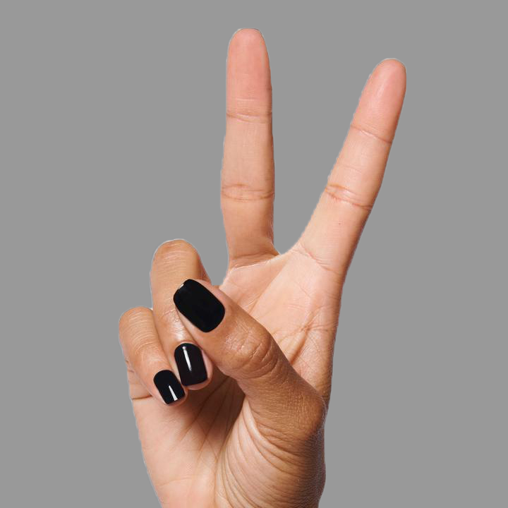 E+M、mySite、solidvoid