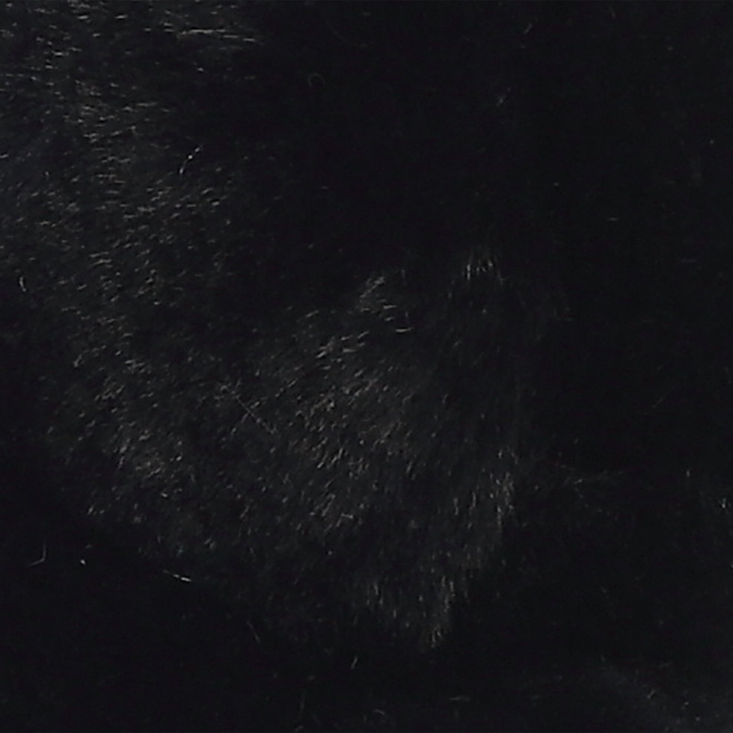 Aurora® - Bear - Bronson Black Bear™、mySite、g9winljtr