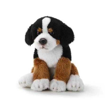 Plush Dogs: Bernese, Dalmatian, Husky, Shiba Inu, Chow, Dobie, Rottie、mySite、g9winljtr