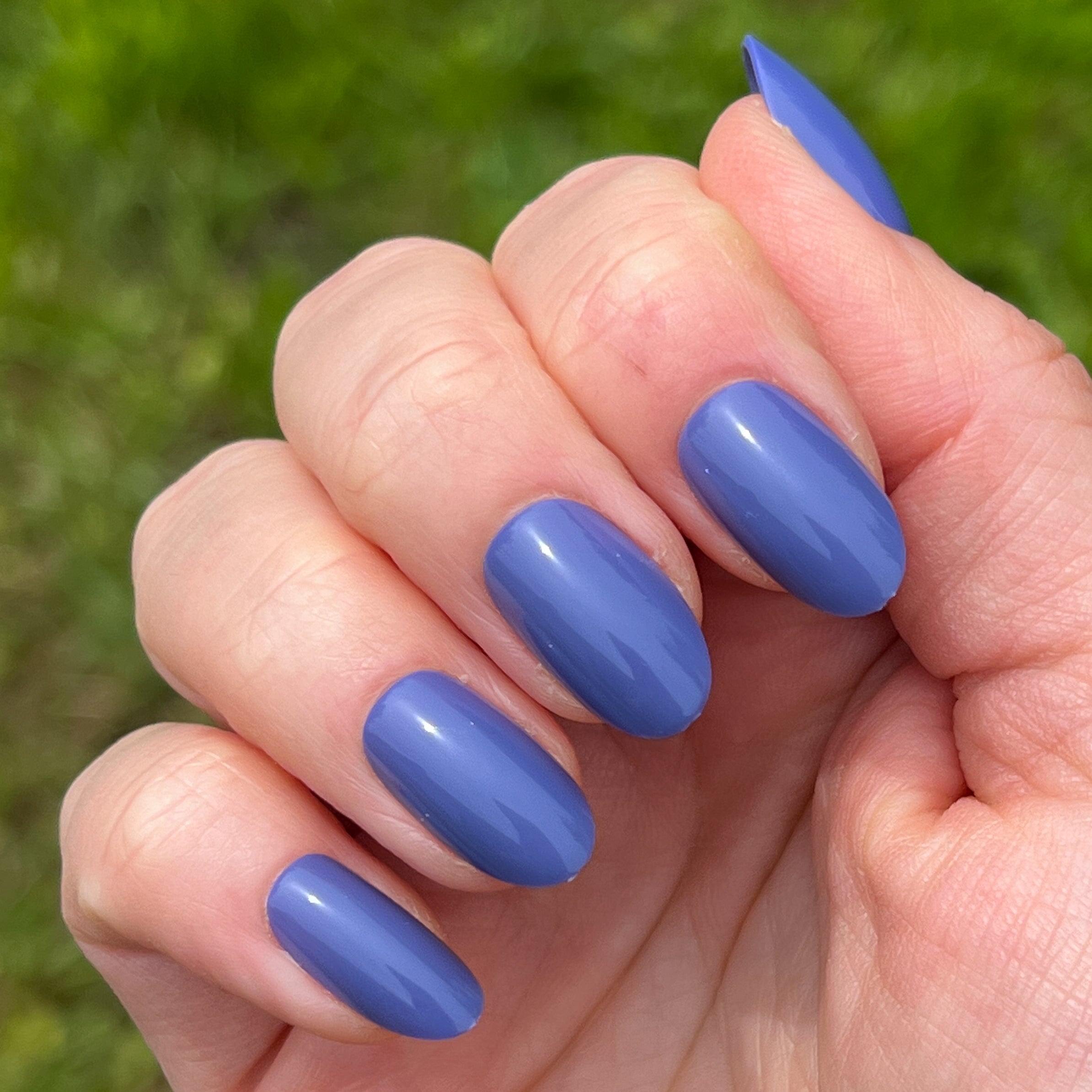 CNH | Oval | Medium、mySite、solidvoid