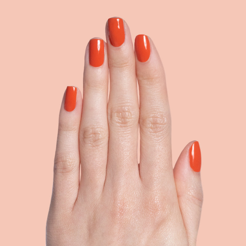 Flowerpot、mySite、solidvoid