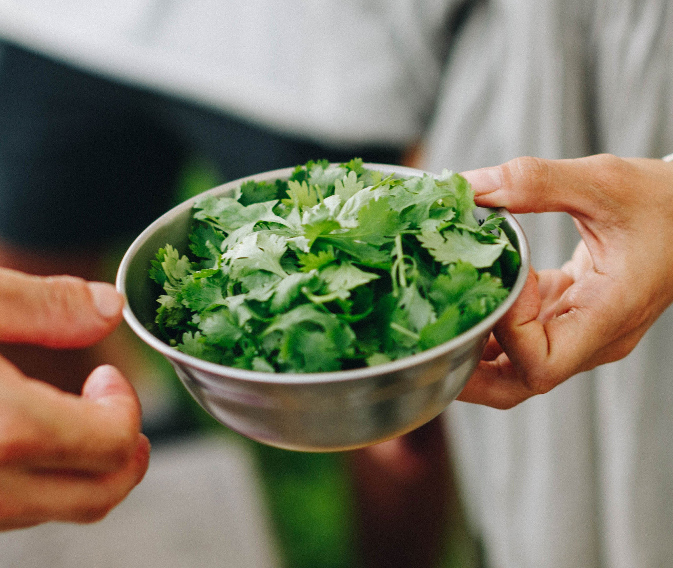 Tableware Set L Family、mySite、topwebapps