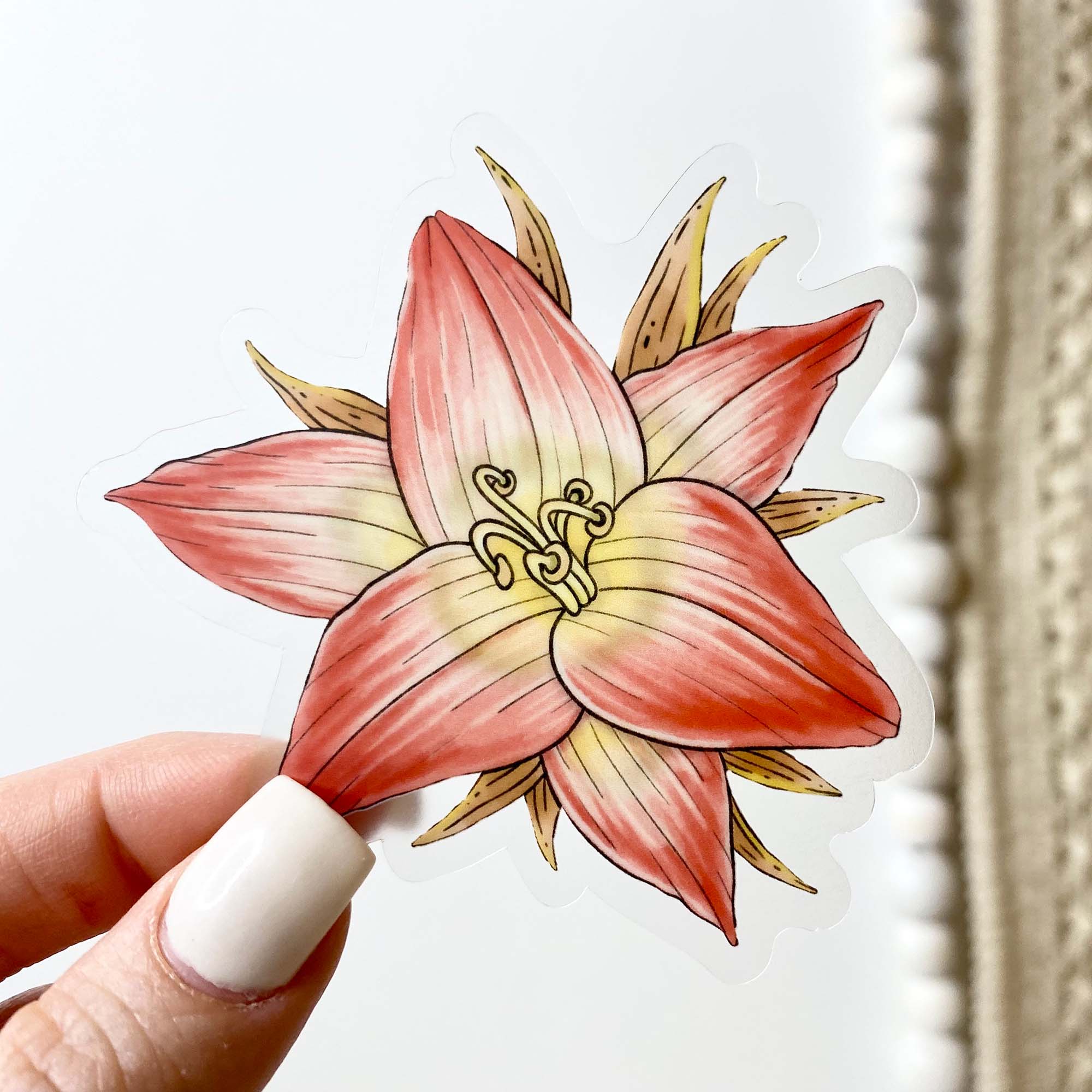  Belladonna - Botanical Clear Sticker、mySite、elrpsem3k