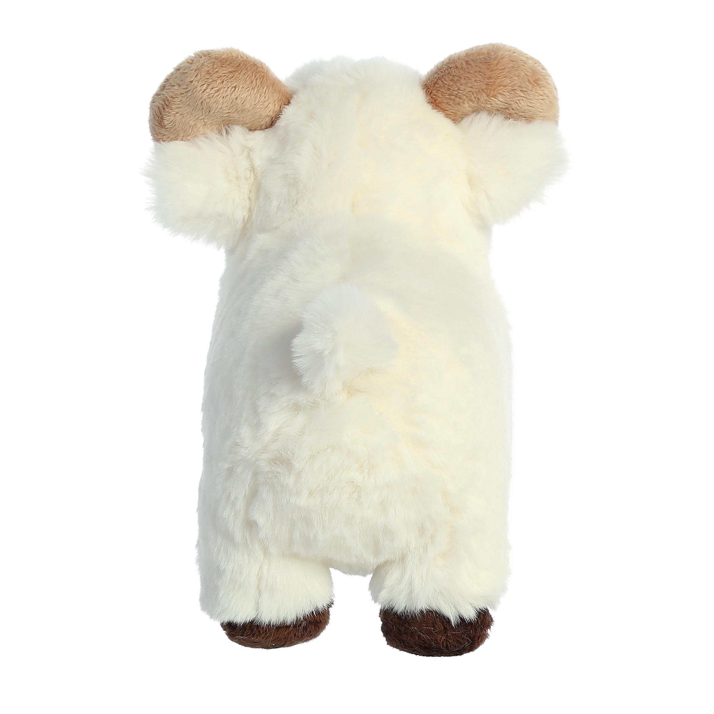 Aurora® - Eco Nation™ - 8 Ram、mySite、g9winljtr