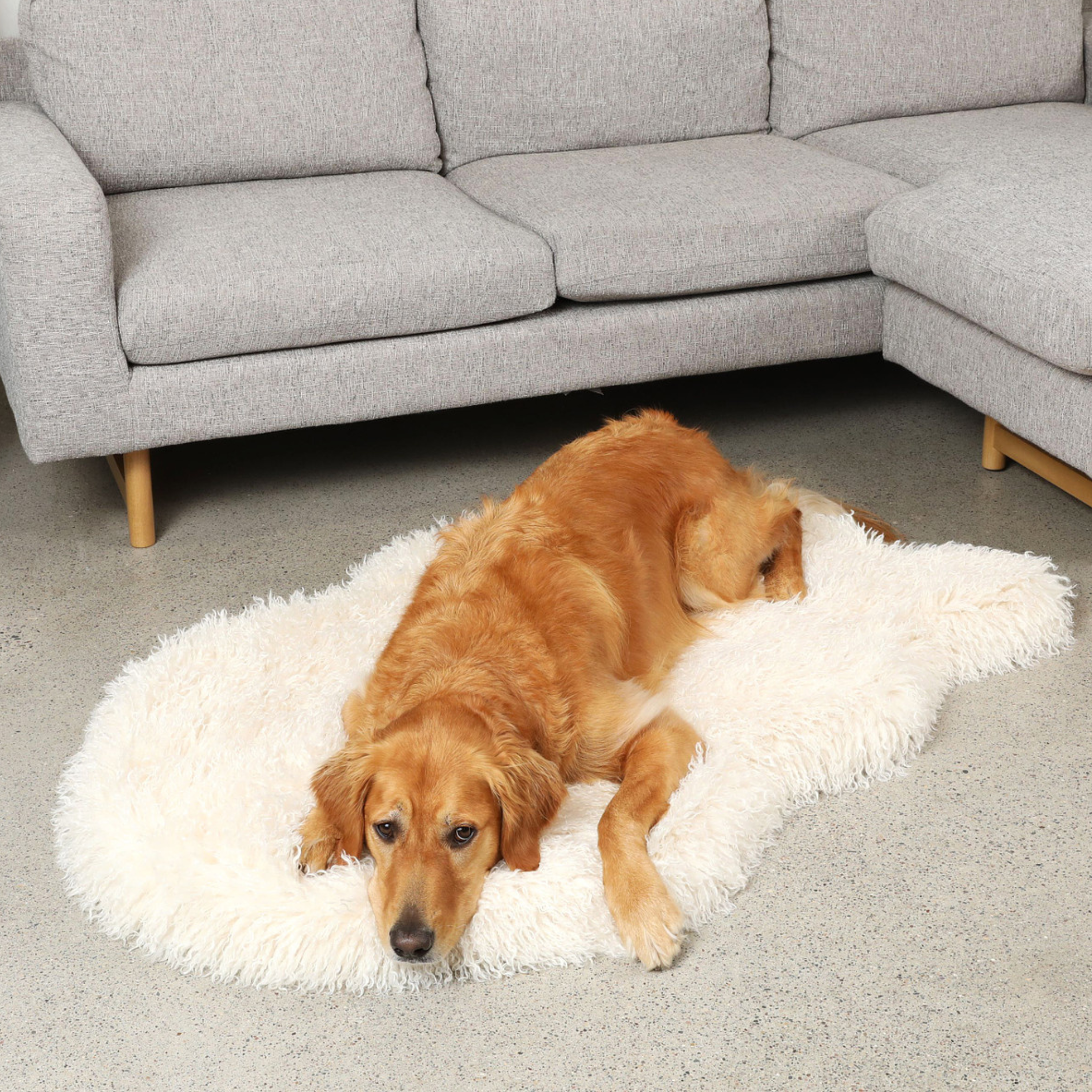 PupRug™ Luxe Faux Fur Orthopedic Dog Bed - Plush Sheep Ivory、mySite、solidvoid