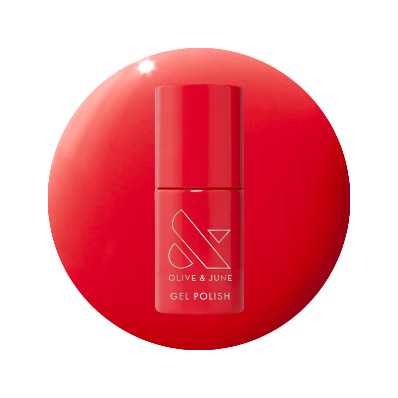 Field Day - Gel、mySite、solidvoid