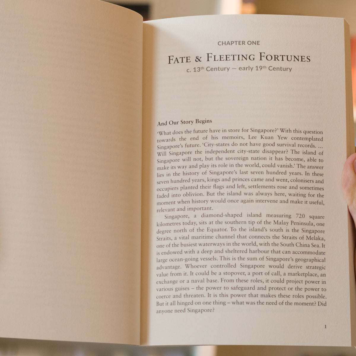 Singapore: A Very Short History, From Temasek to Tomorrow、mySite、topwebapps