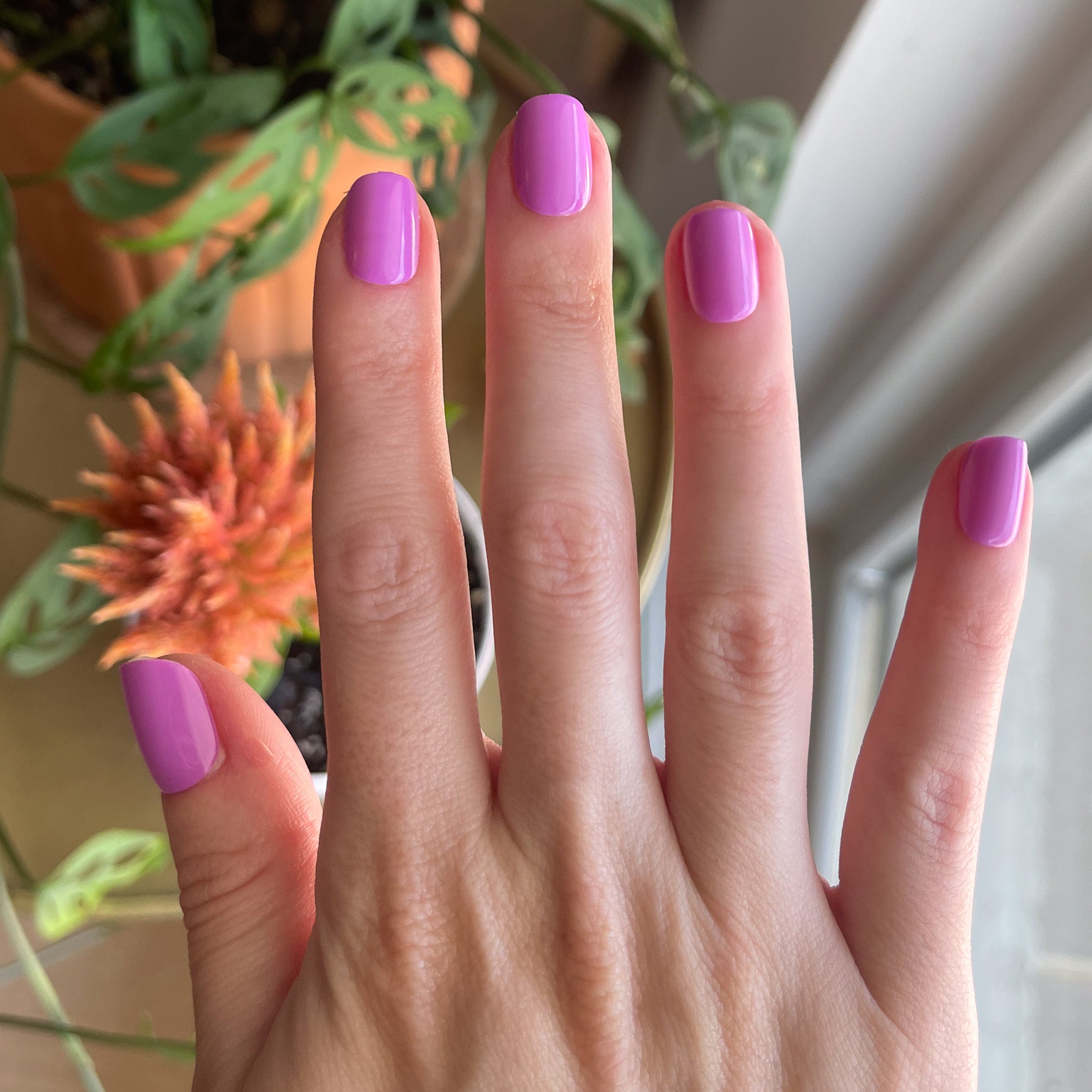 Jam, Please - Press-On | Extra Short | Squoval、mySite、solidvoid