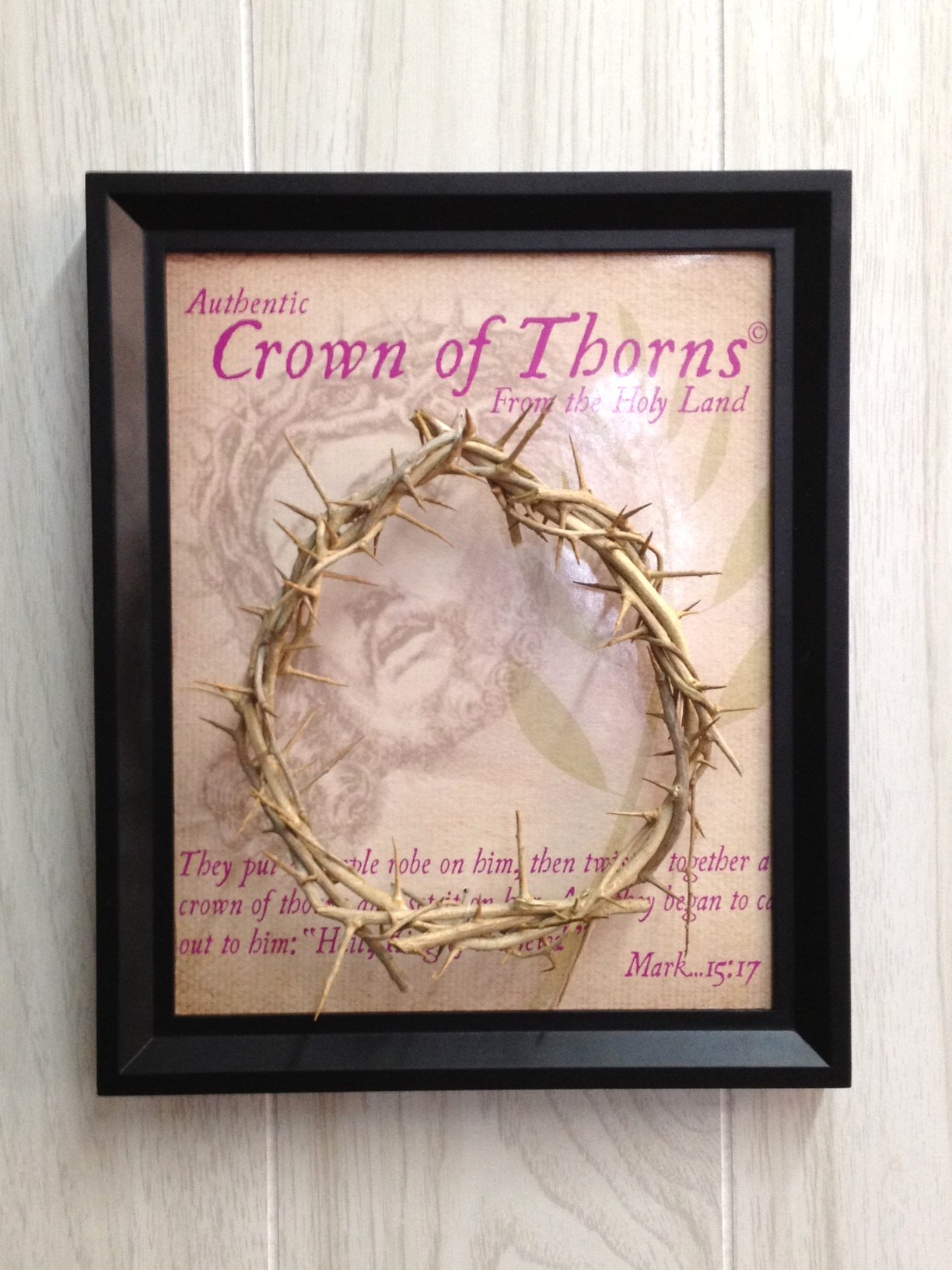The Genuine and Authentic The Crown of Thorns (20.5x20.5cm OR 8x8) with Certificate、mySite、topwebapps