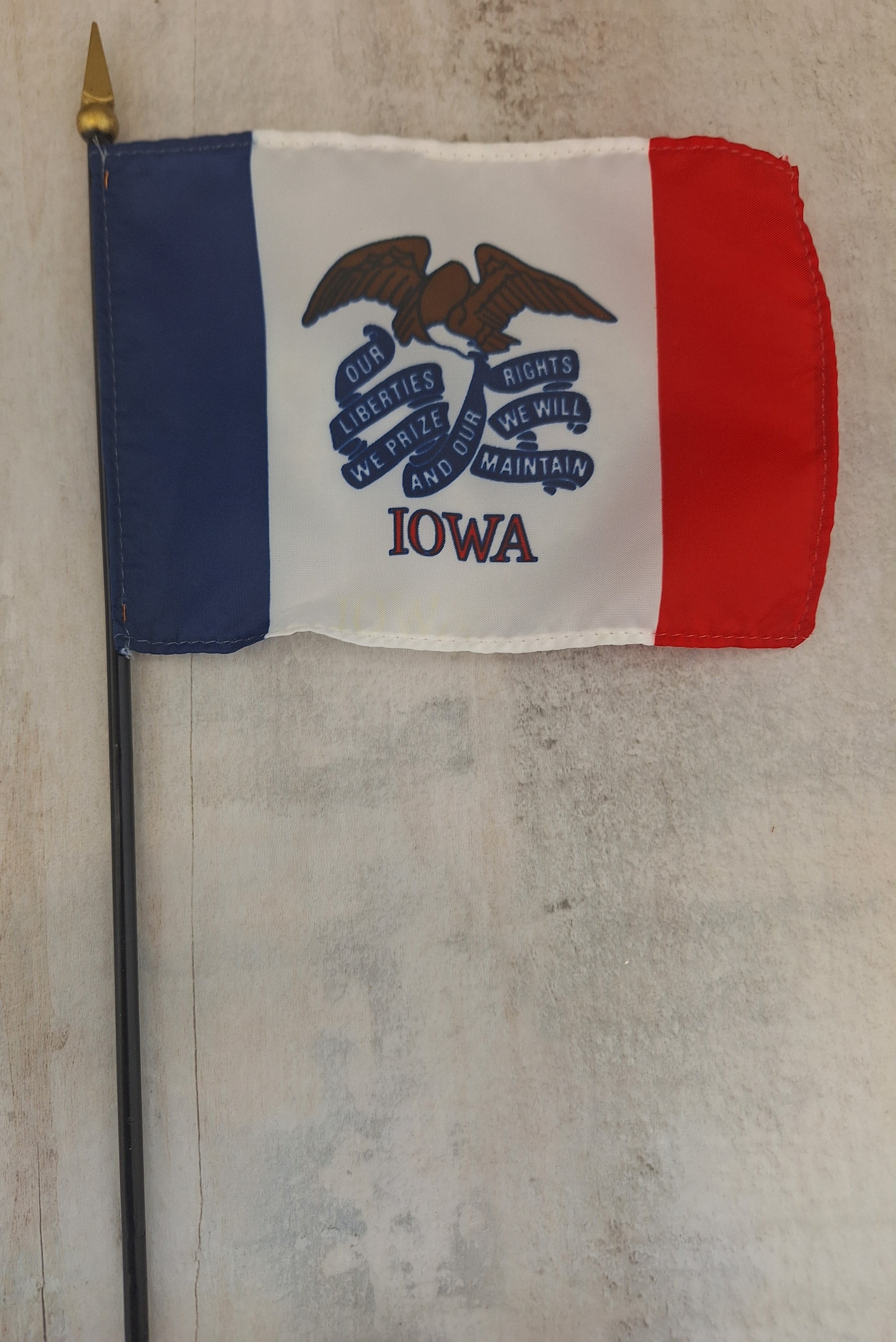 Mini Iowa Flag、mySite、garagedoors4me