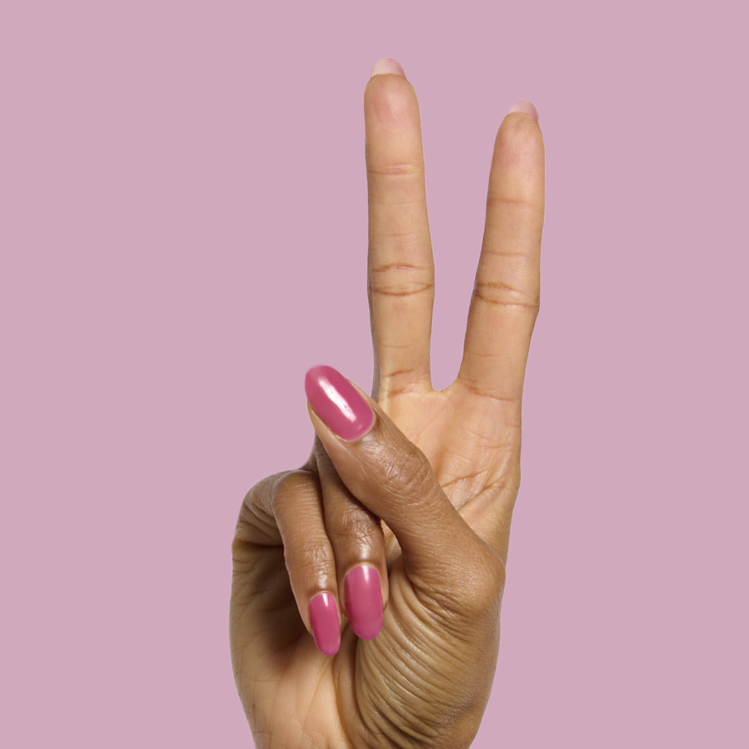 This Lettuce is Radicchio、mySite、solidvoid