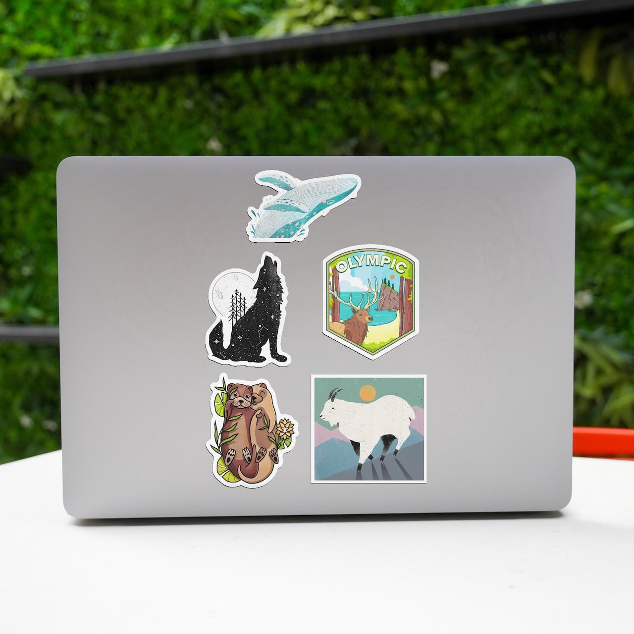  Olympic Forest Animal Stickers 5 Pack、mySite、ghnorth