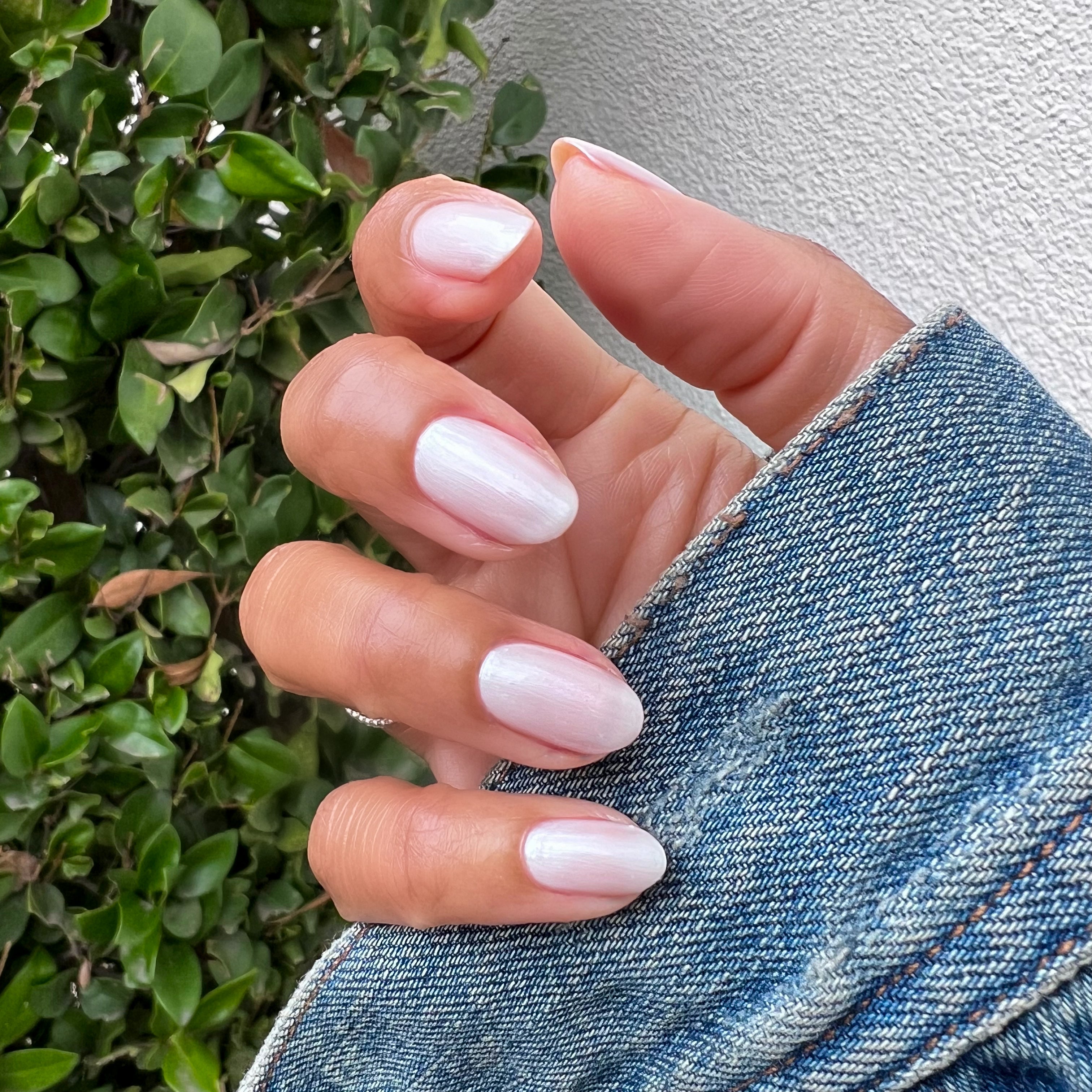 Atlas、mySite、solidvoid