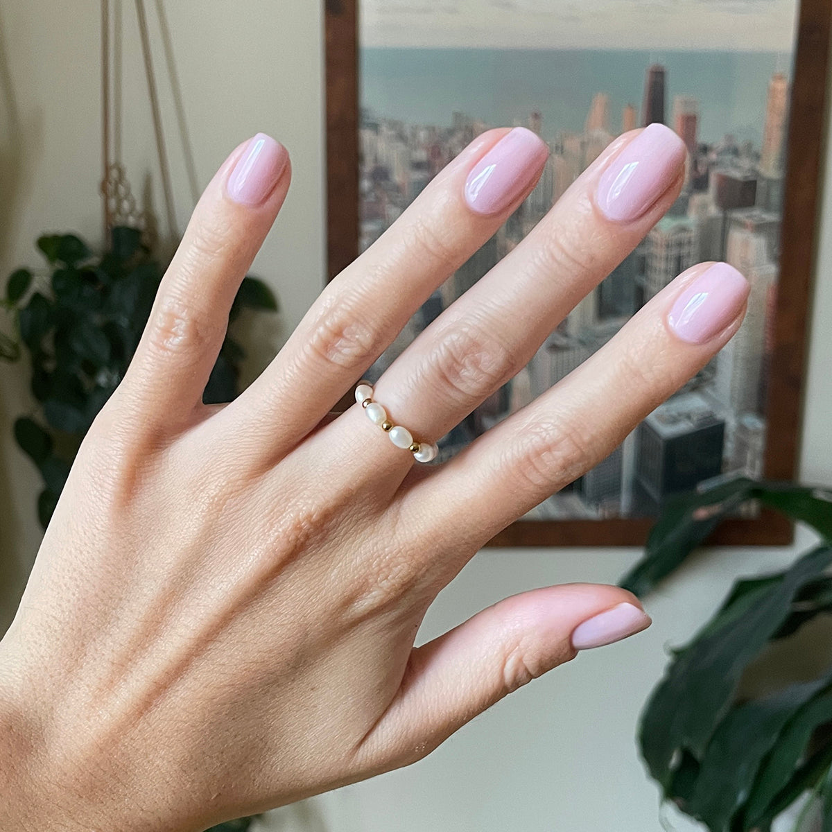 Glossed、mySite、solidvoid