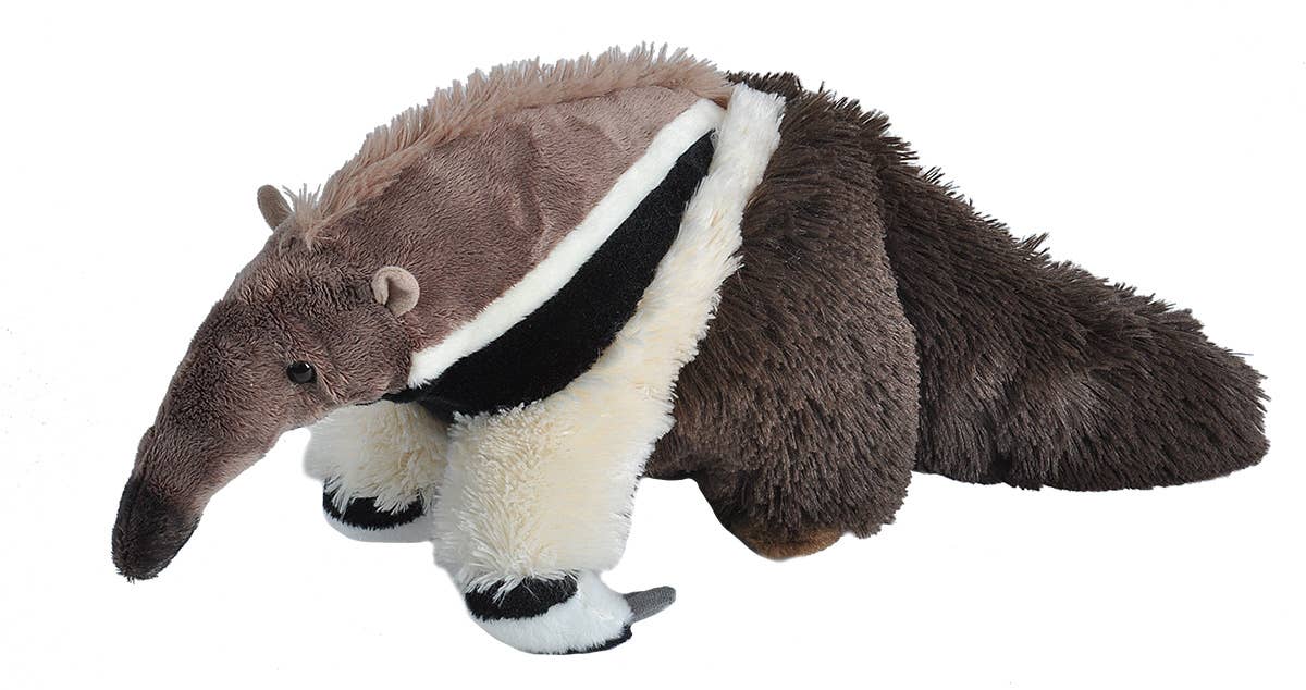 Plush Anteater Lifelike Stuffed Animal - 12、mySite、g9winljtr