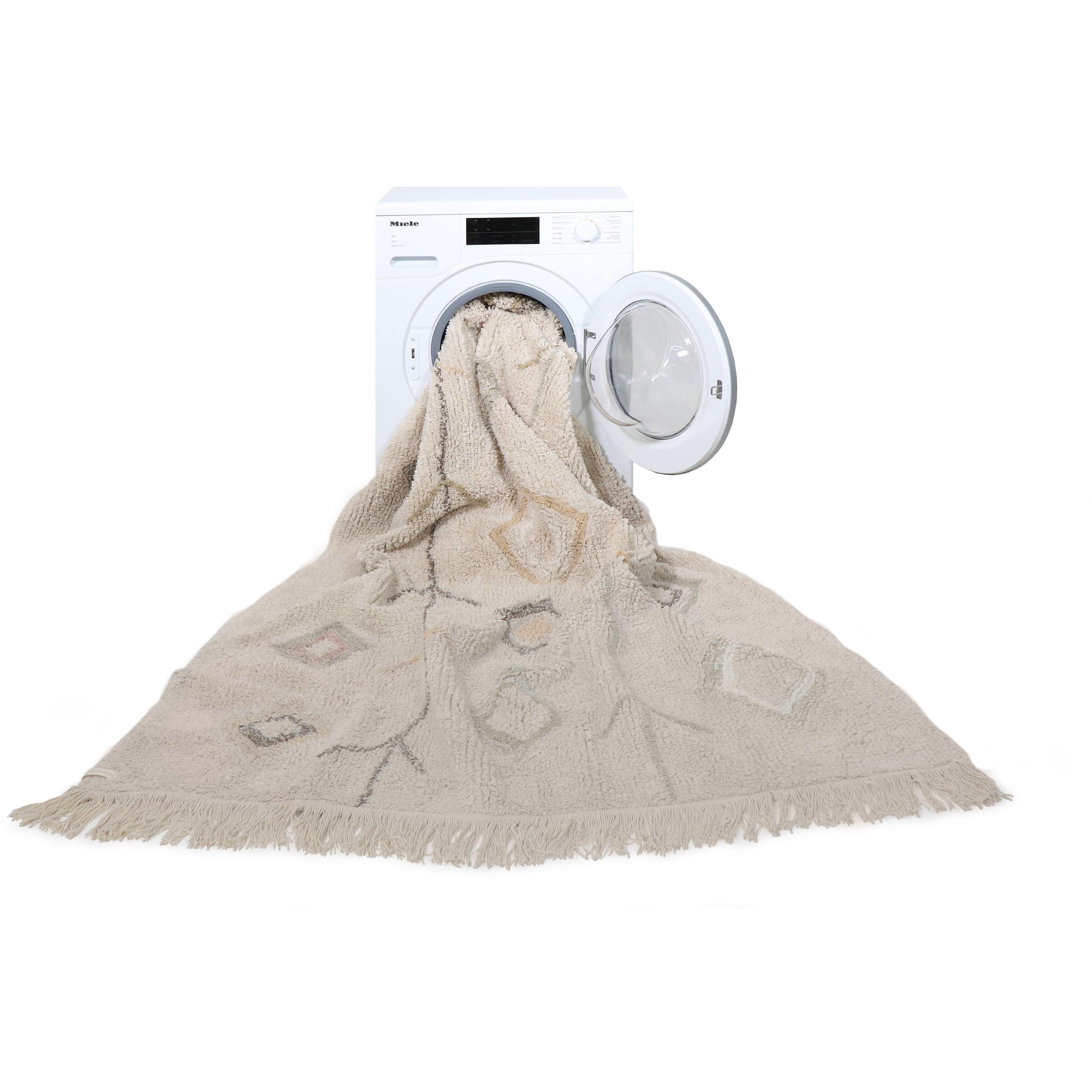 Kaarol Earth Washable Area Rug、mySite、gigharbornorthrealestate