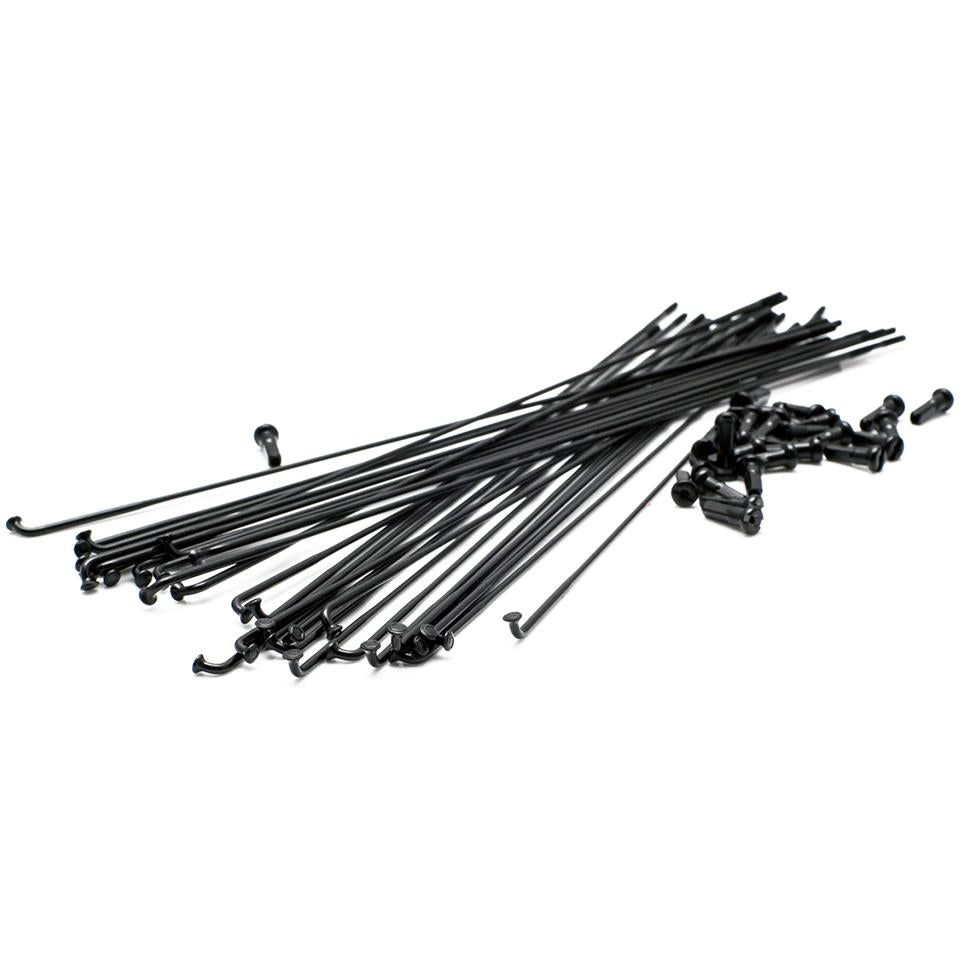  Box One Expert Race Spoke Kit、mySite、merchandisen