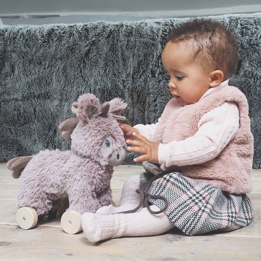  Little Bird Told Me - Pull-Along Donkey - Norbert (6m+)、mySite、merchandisen