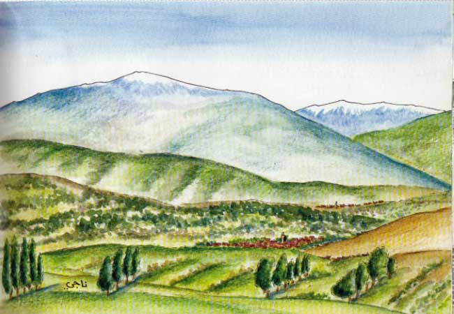 Furqan Visits Fez (A Berber Boy Discovers His Destiny)、mySite、topwebapps