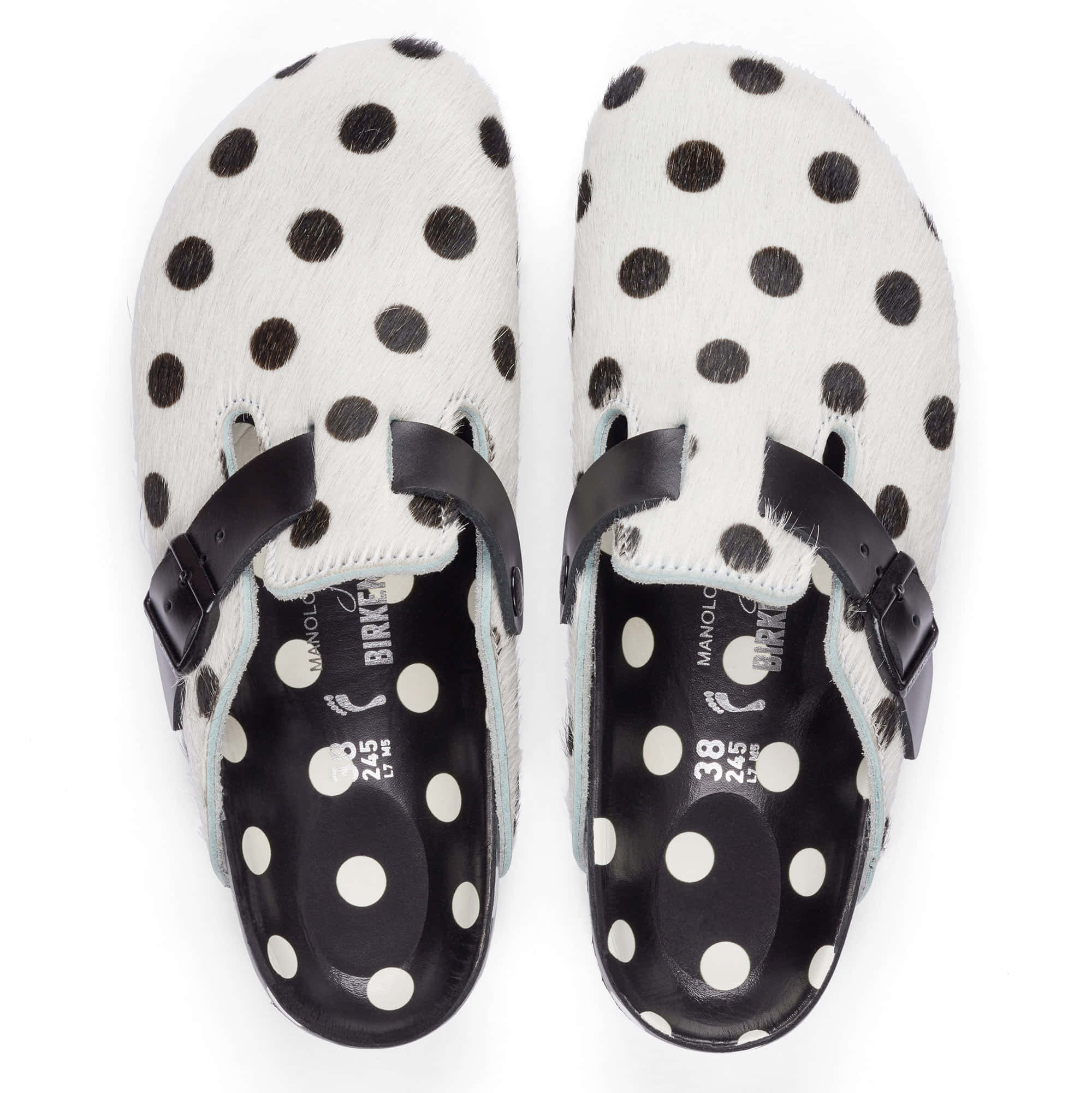 Boston Manolo Polka Dots、mySite、gtrtttuynbv