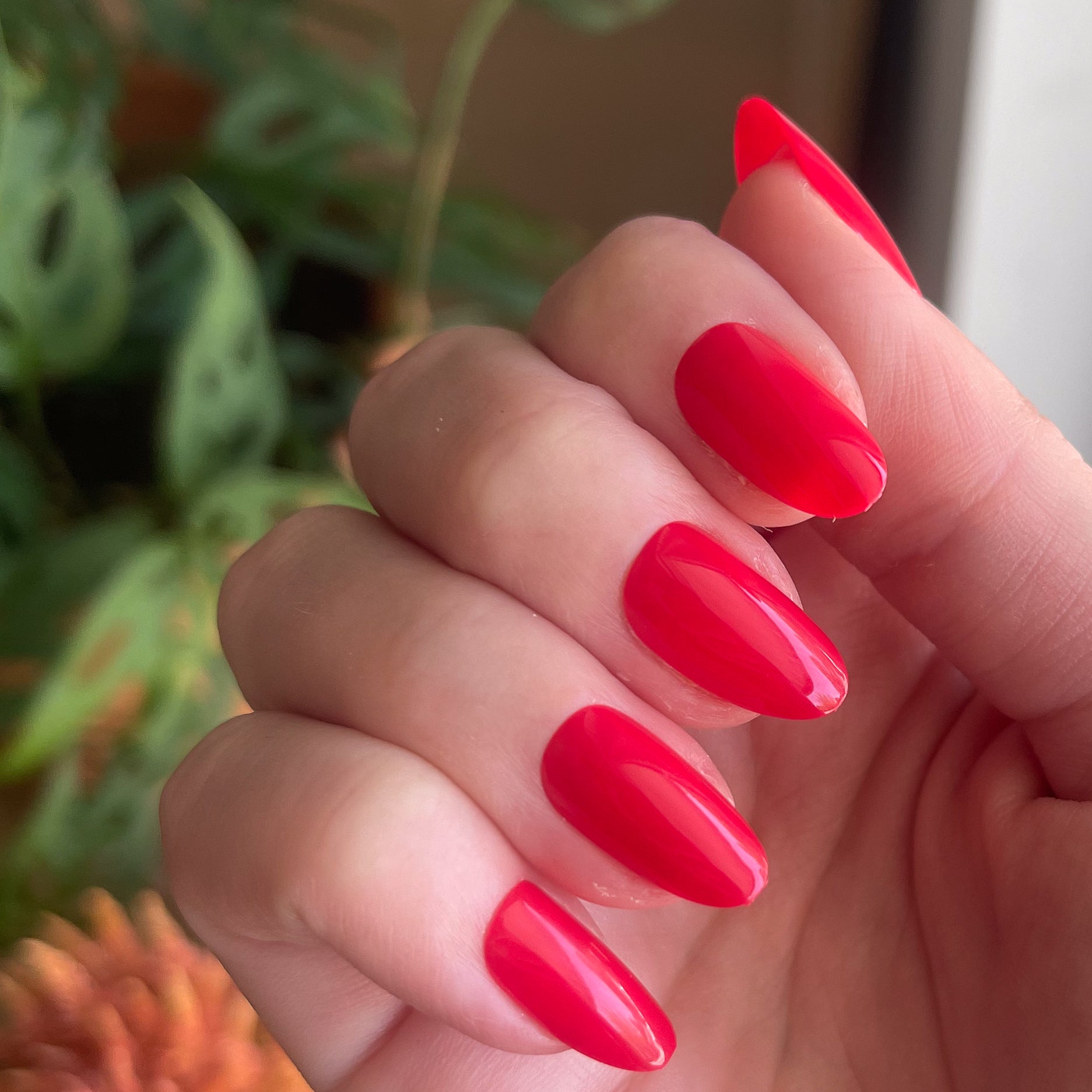 Hibiscus - Press-On | Medium | Oval、mySite、solidvoid