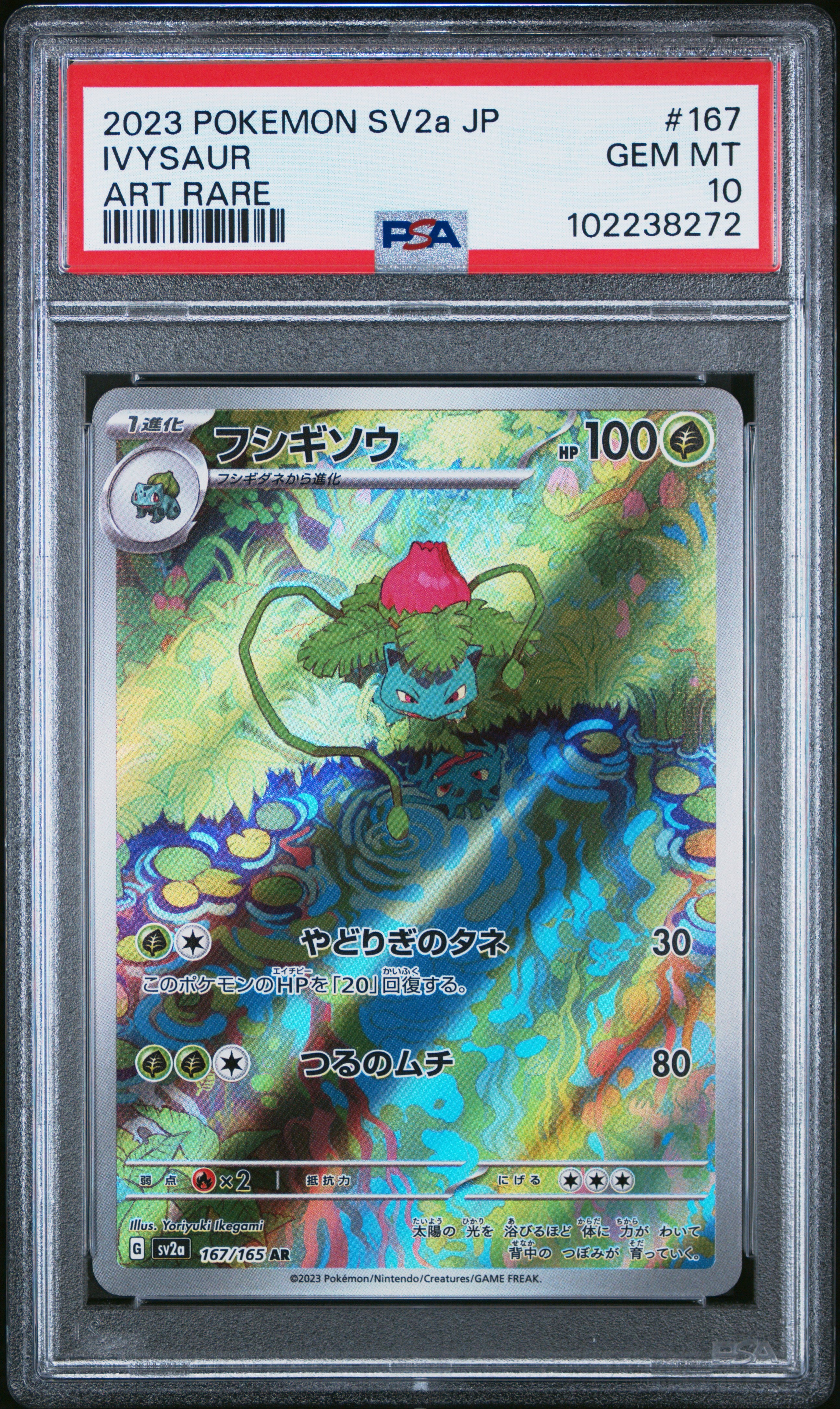 Ivysaur #167 Art Rare PSA 10 Japanese 151 2023、mySite、waistdrama