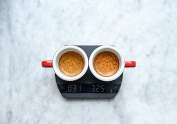 Felicita Arc Waterproof Coffee Scale、mySite、gigharbornorthrealestate