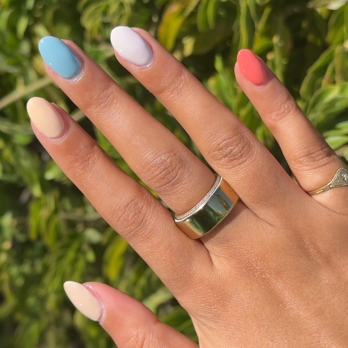 Sunset Season、mySite、solidvoid