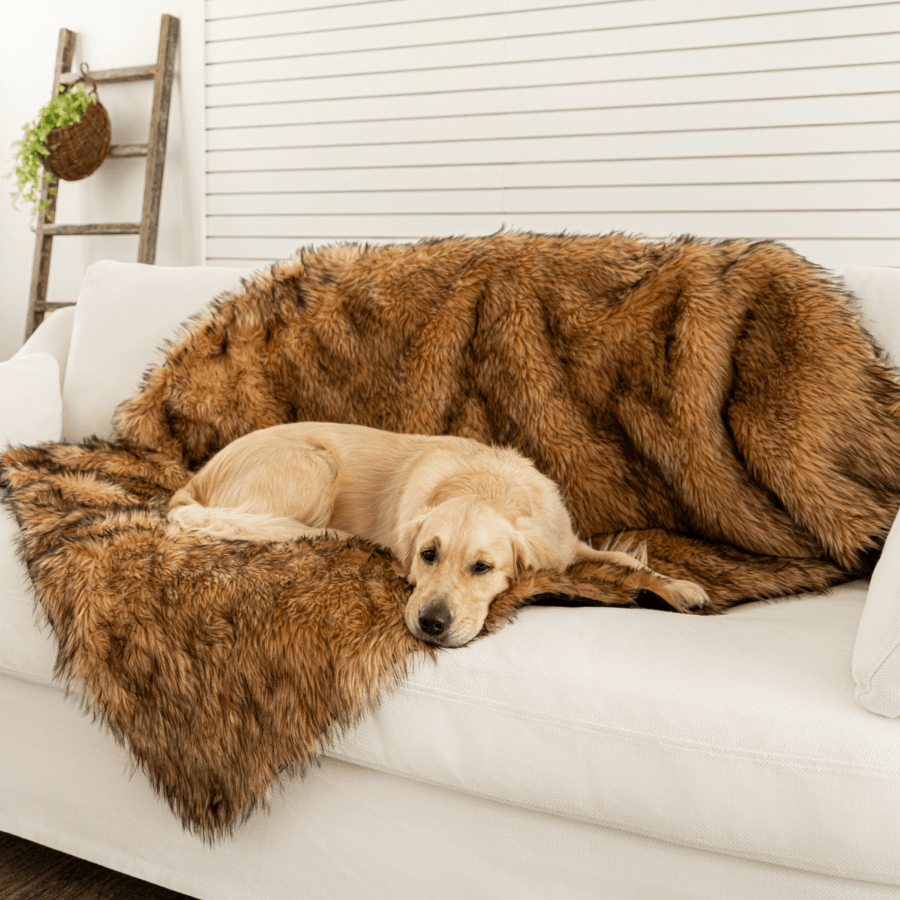 Paw.com x BarkBox PupProtector™ Waterproof Throw Blanket - Sable Tan、mySite、solidvoid