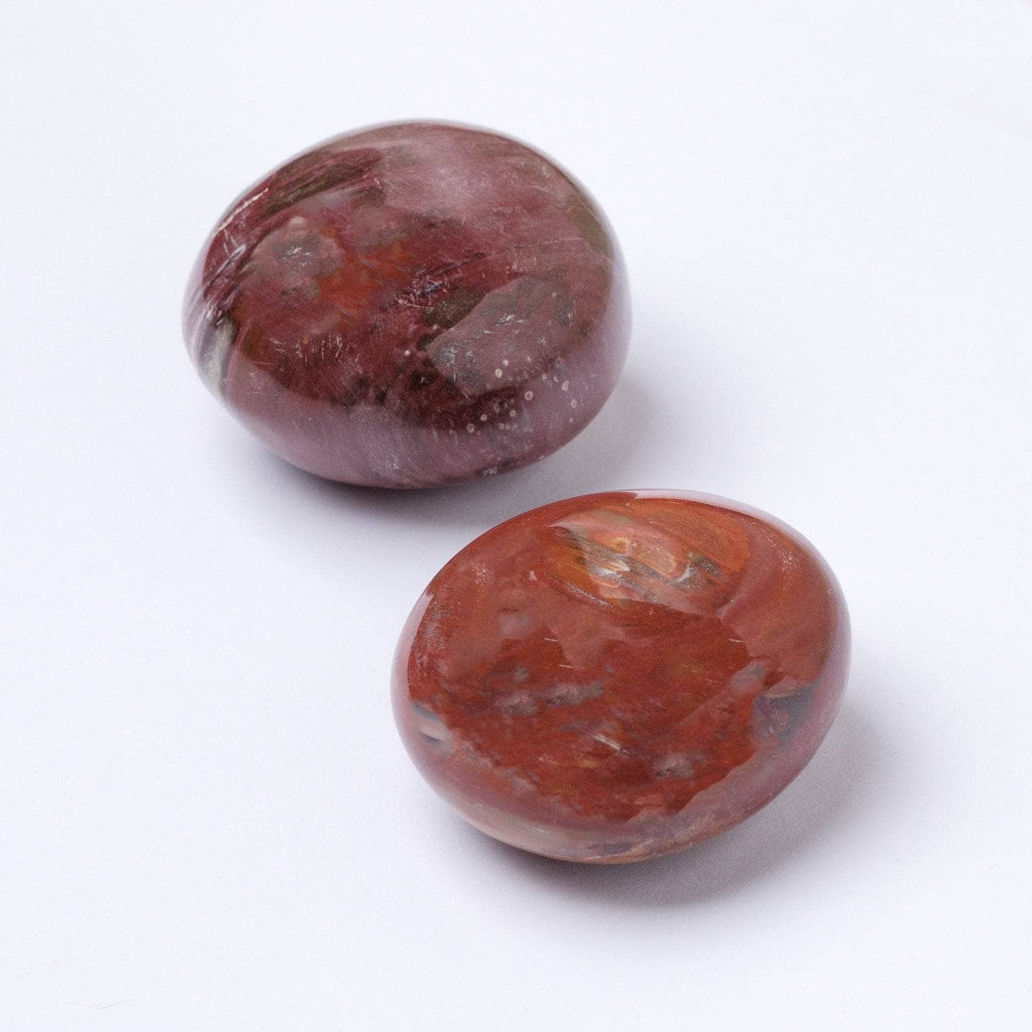 Petrified Wood Palm Stones - AAA Premium Quality、mySite、hinf8tx79