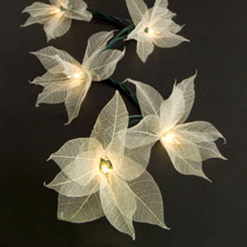 Bodhi Leaf Look-a-Lights、mySite、topwebapps