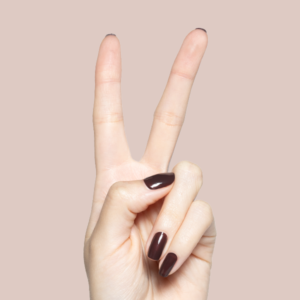 Spressotini、mySite、solidvoid