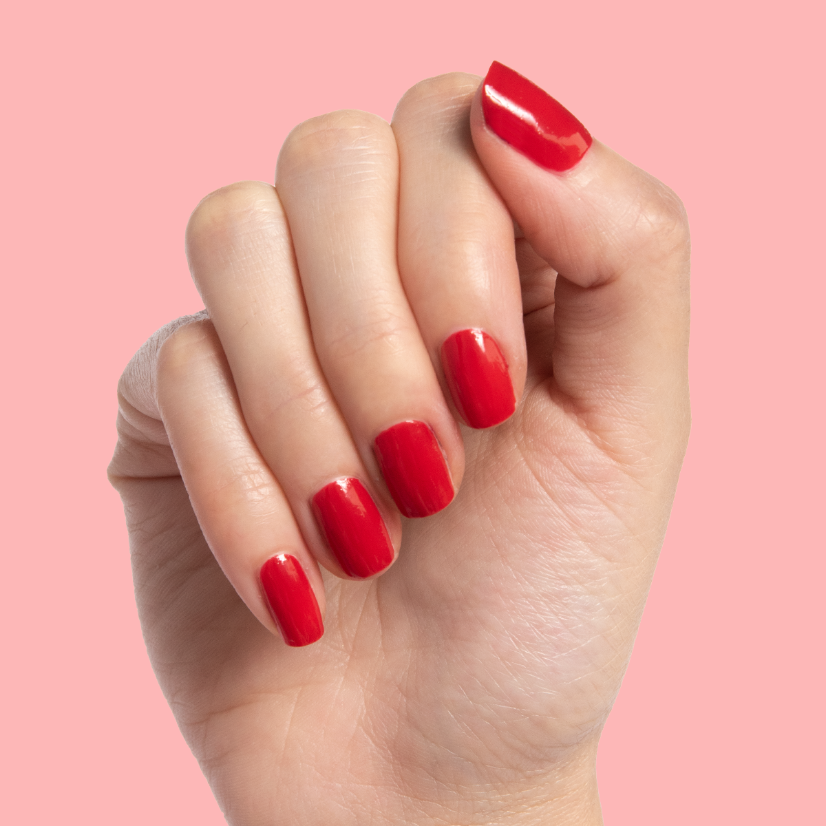 Smooch、mySite、solidvoid