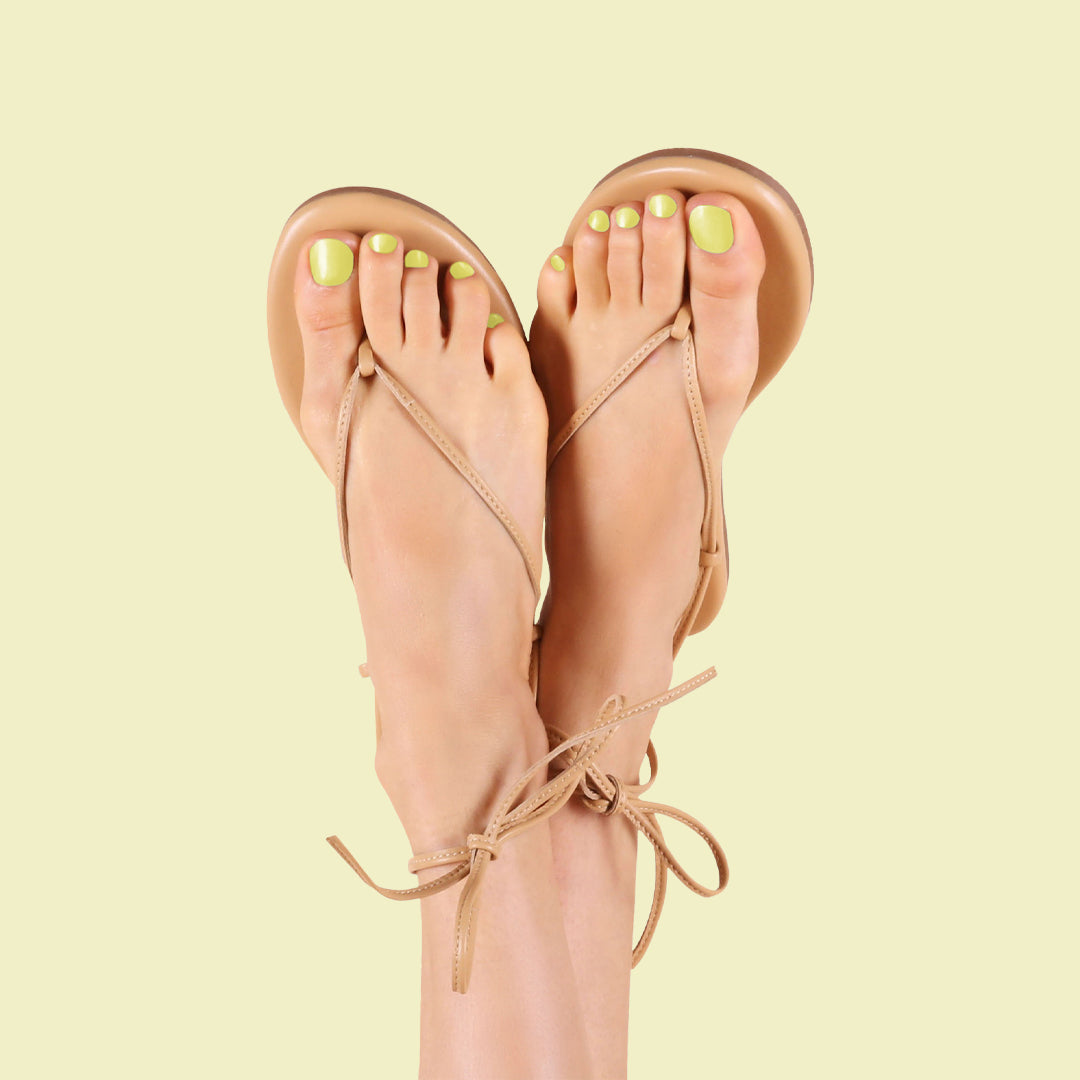 Not Kale、mySite、solidvoid