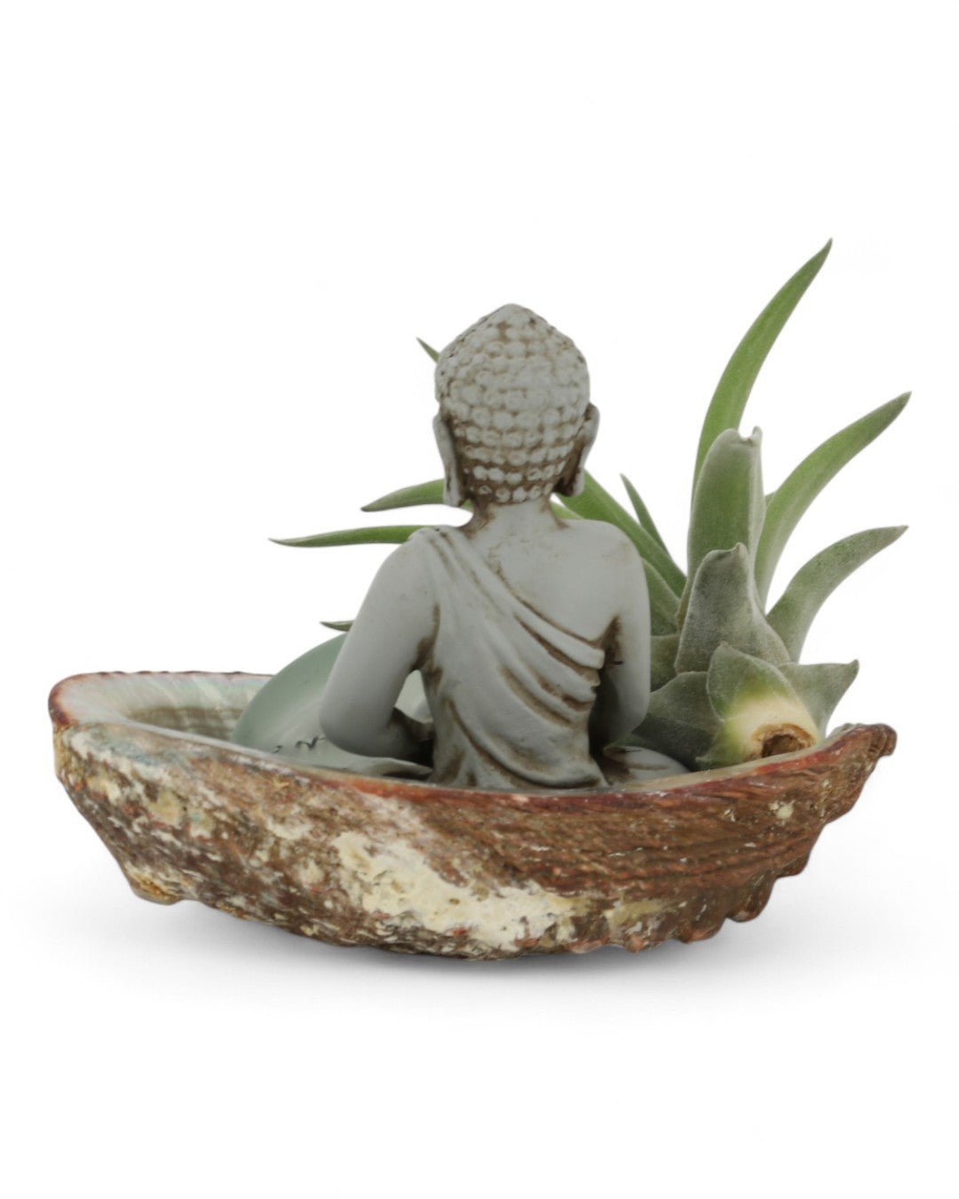 Small Abalone Shell Zen Buddha Terrarium、mySite、topwebapps