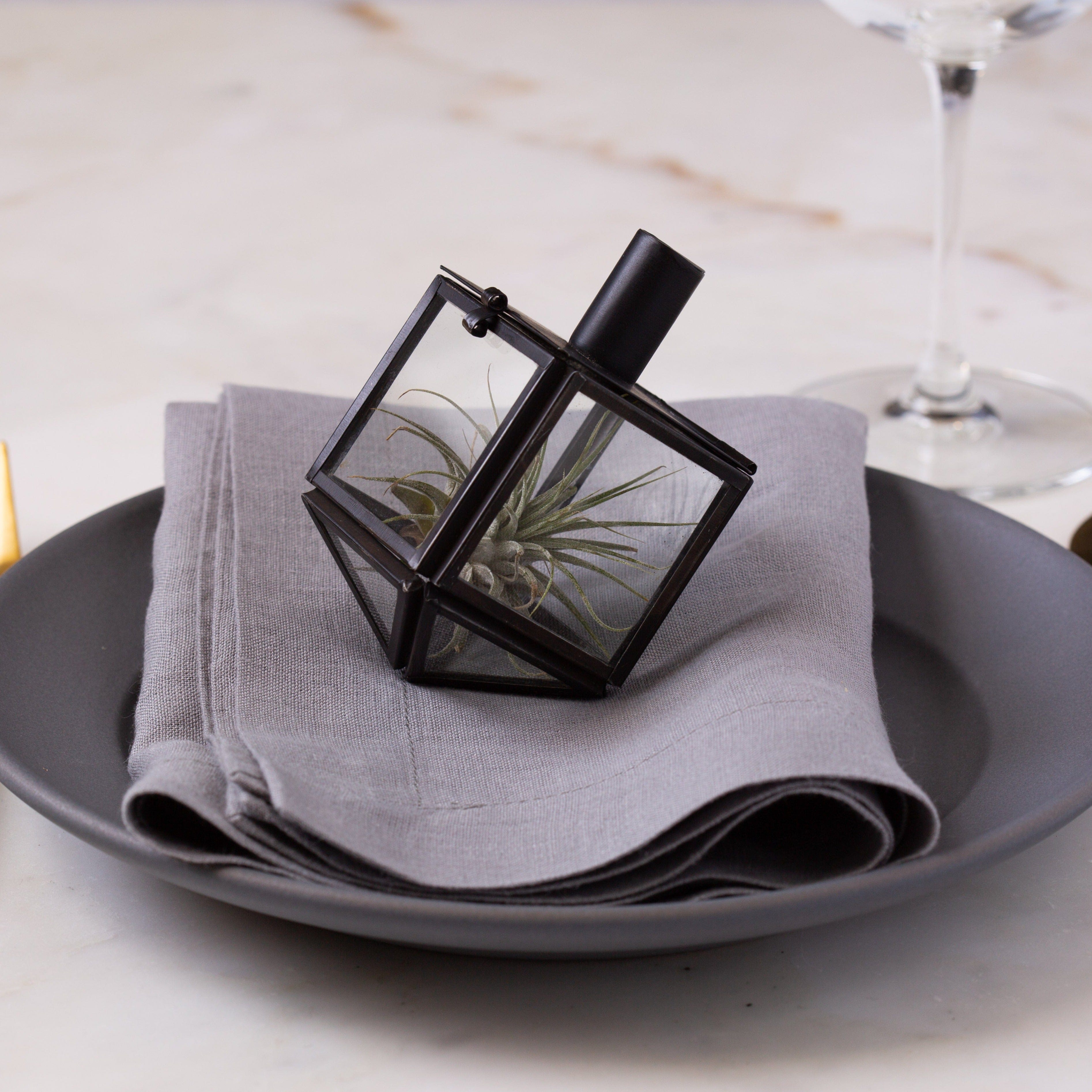 Talia Mini Dreidel Terrarium - Black、mySite、topwebapps