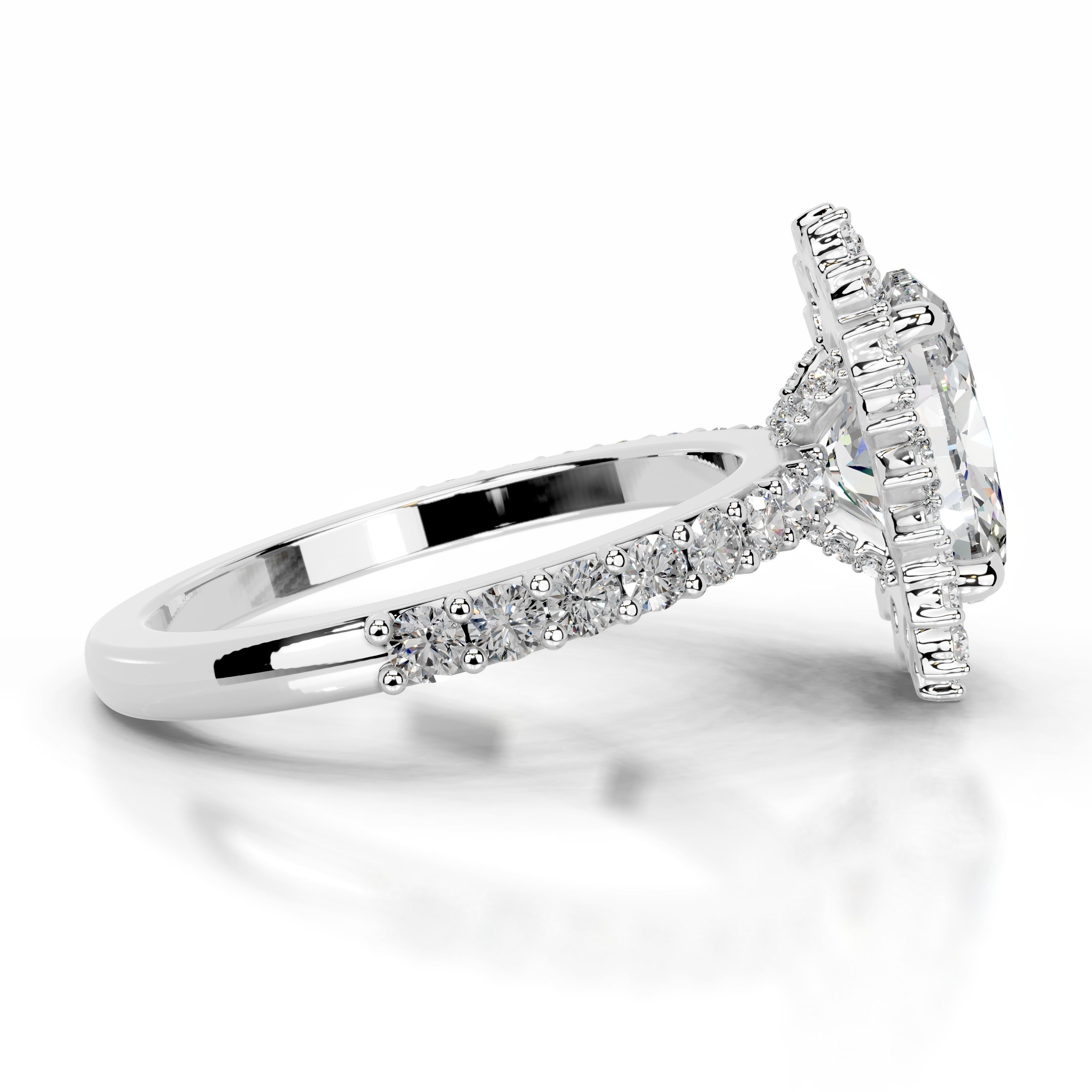 Gertrud Moissanite & Diamond Ring - Platinum、mySite、hinf8tx79